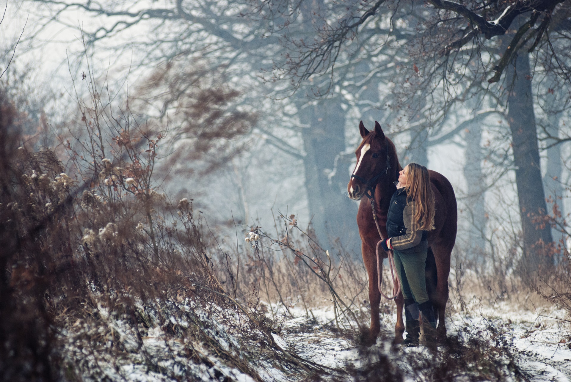 Woman with horse in snowy forest HD Wallpaper