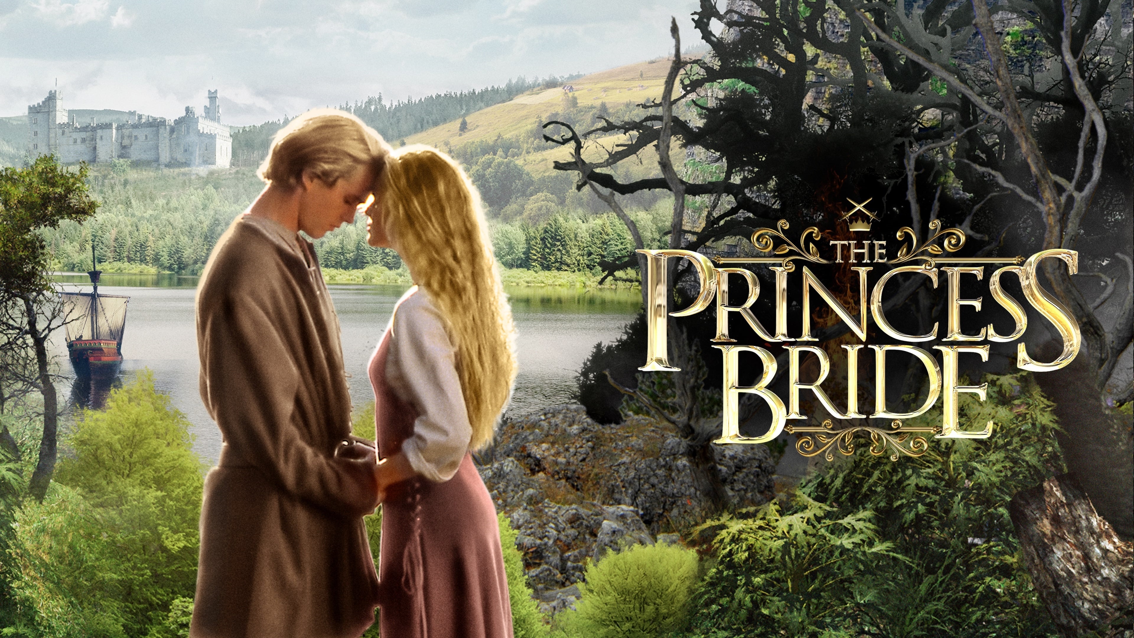 The Princess Bride HD Wallpaper