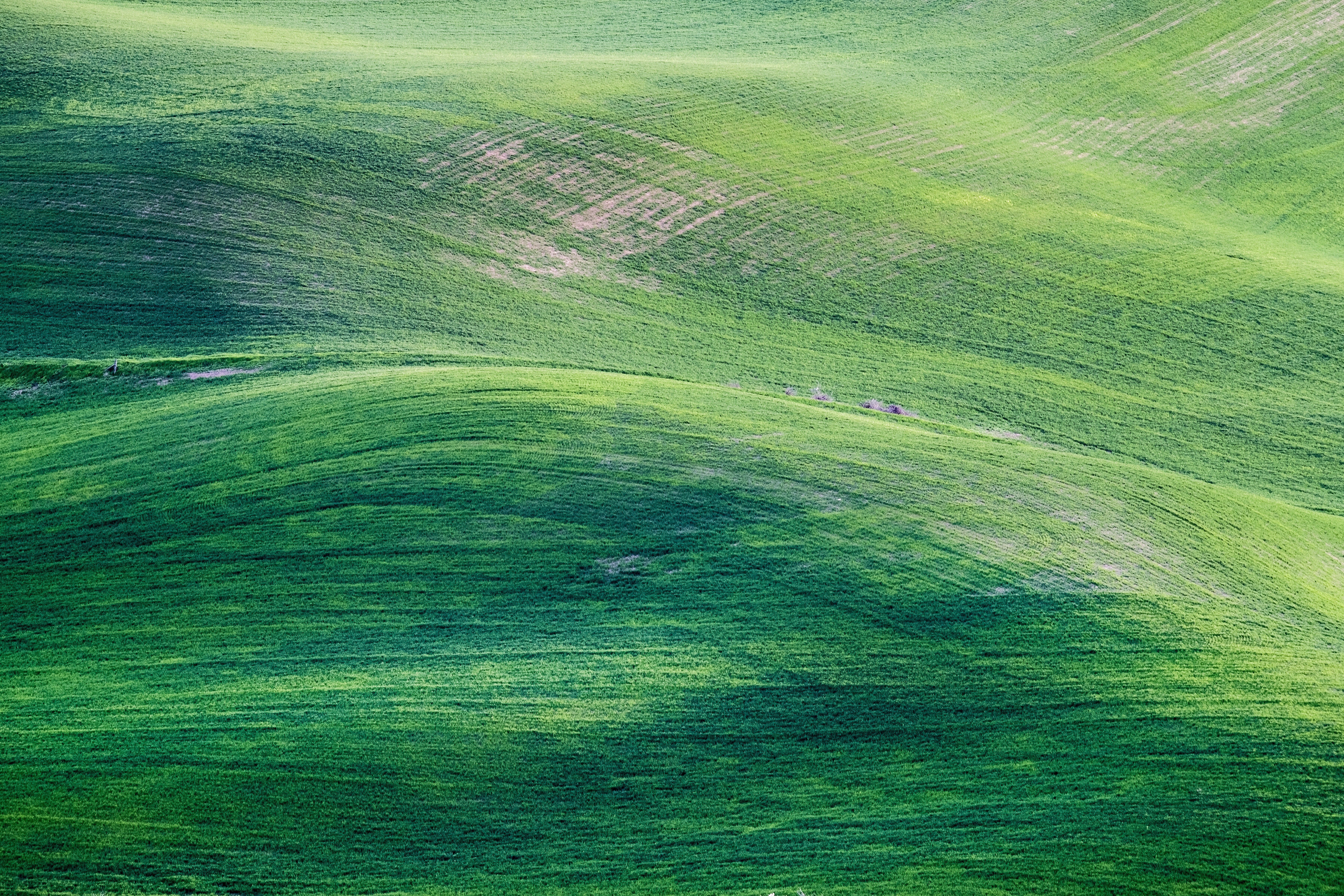 Green Rolling Hills Landscape 4K HD Wallpaper