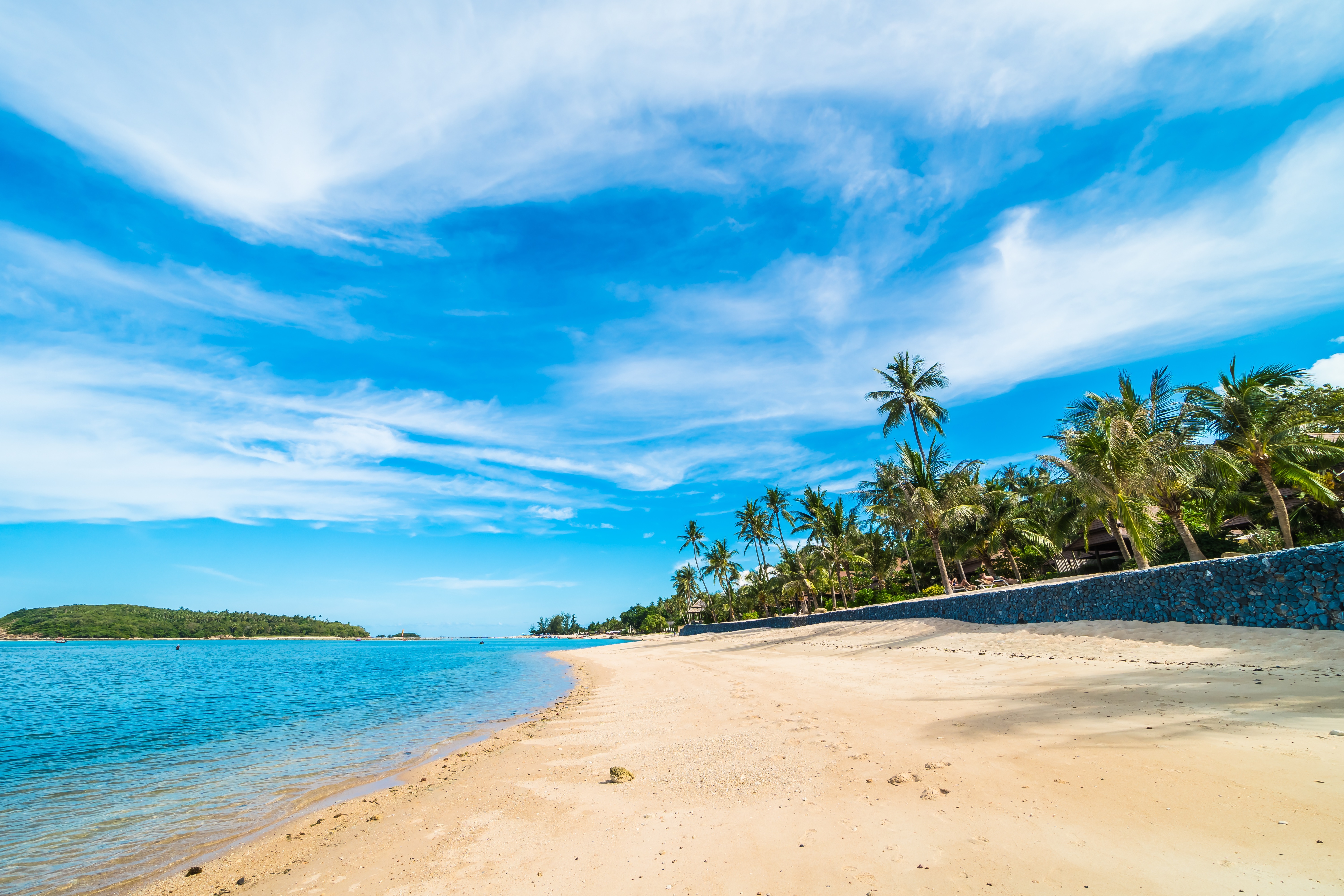 Beach with Palm Trees and Blue Sky 4K HD Wallpaper