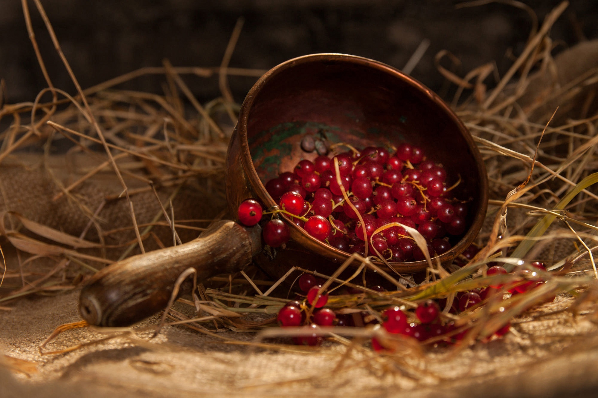 Red Currants in a Copper Bowl with Straw HD Wallpaper