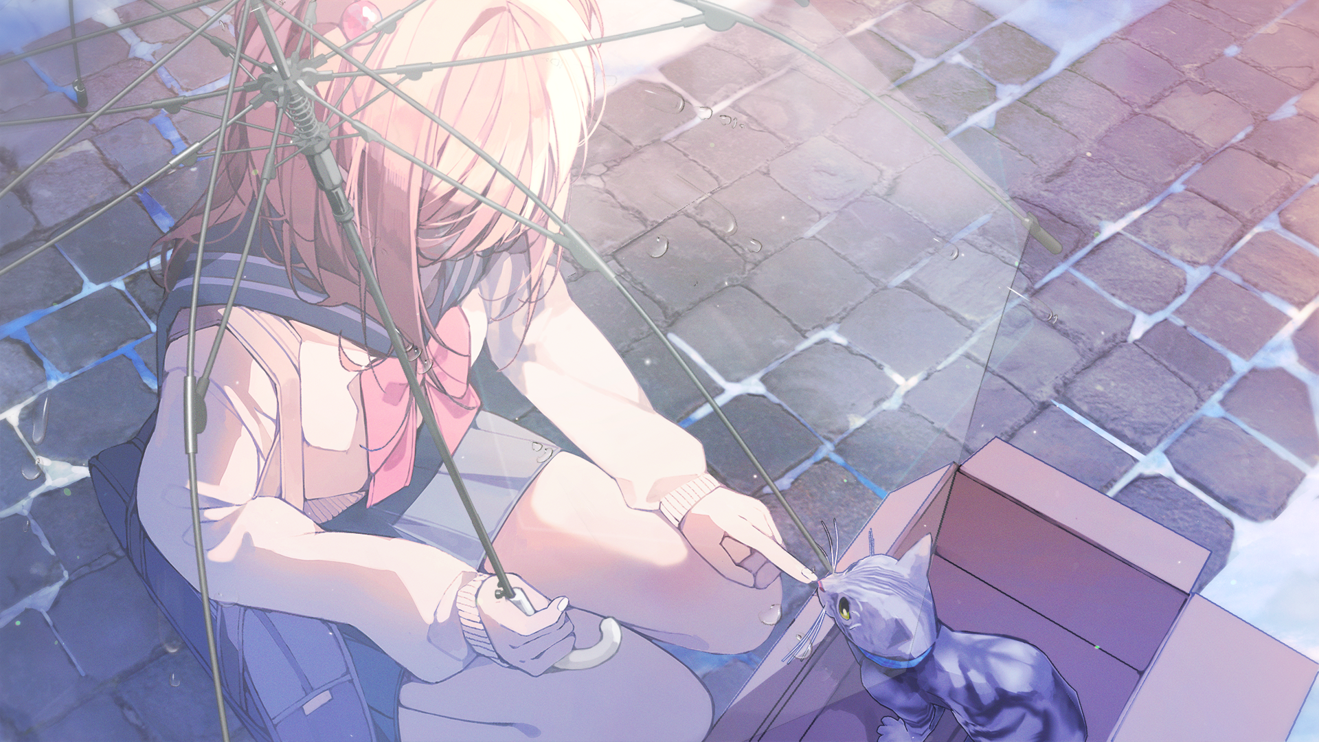 Girl with umbrella and kitten in a box HD Wallpaper