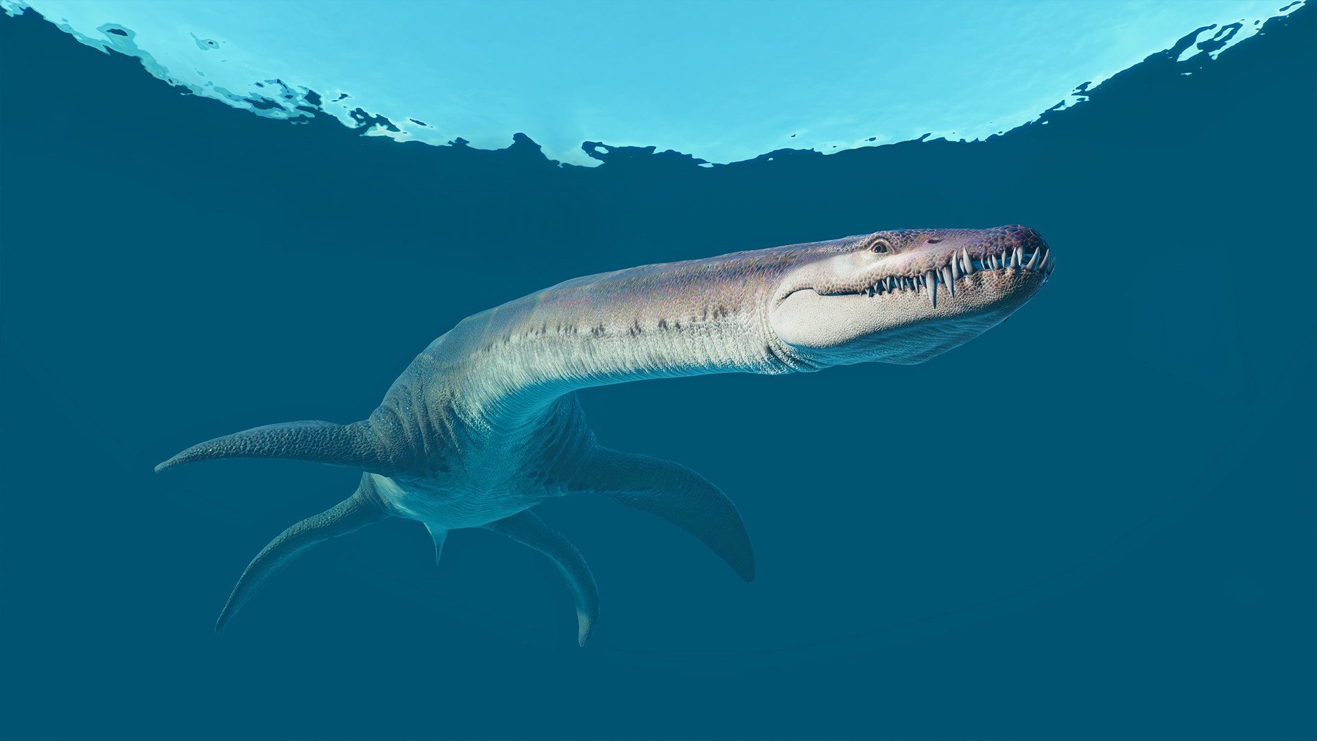 Mosasaurus from Jurassic World Evolution 2 HD Wallpaper