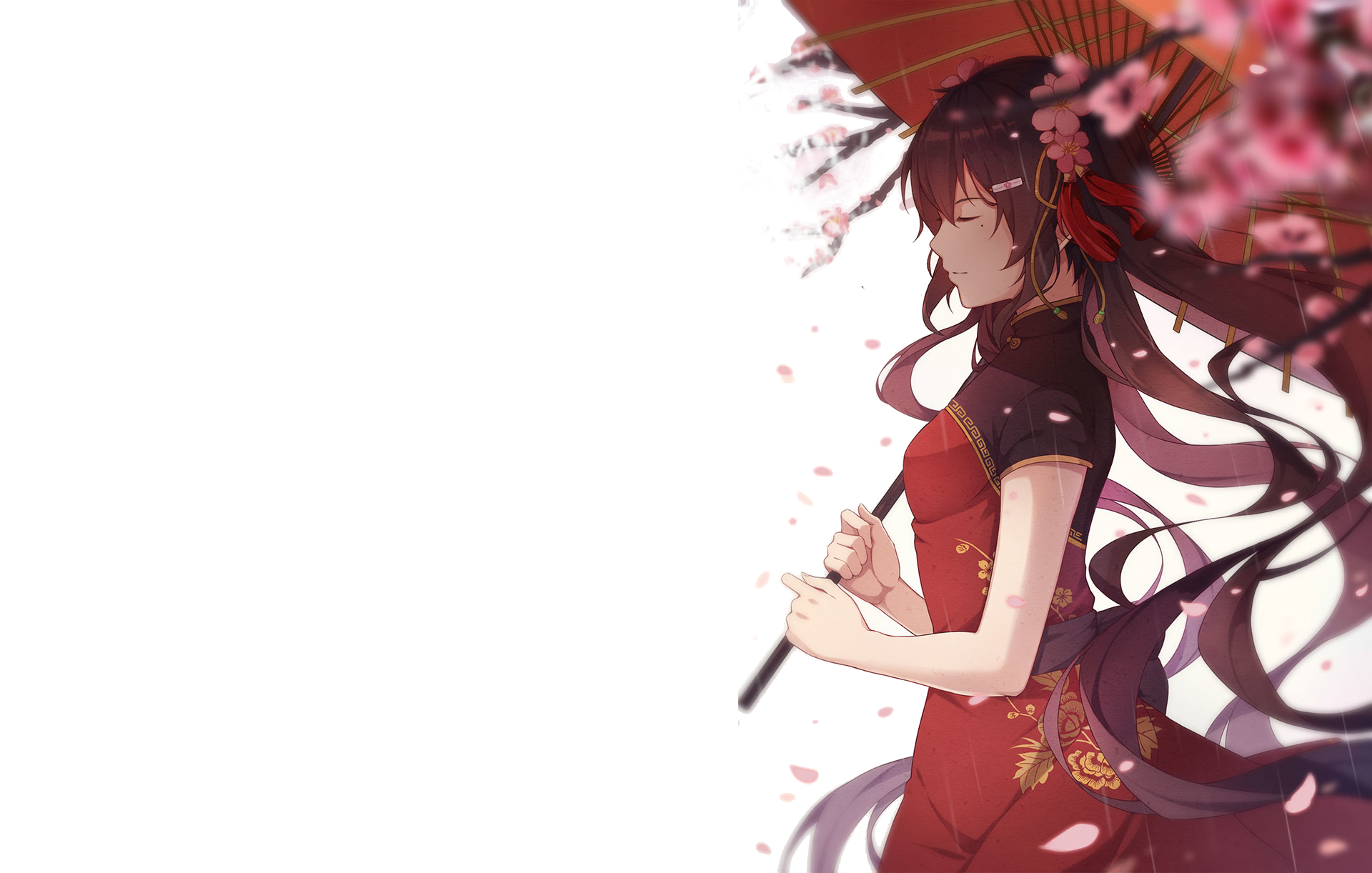 Girl with umbrella and cherry blossoms HD Wallpaper