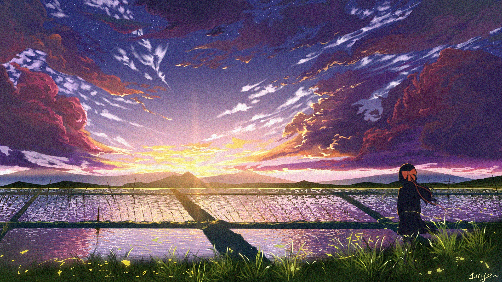 Anime girl watching sunset over rice fields HD Wallpaper