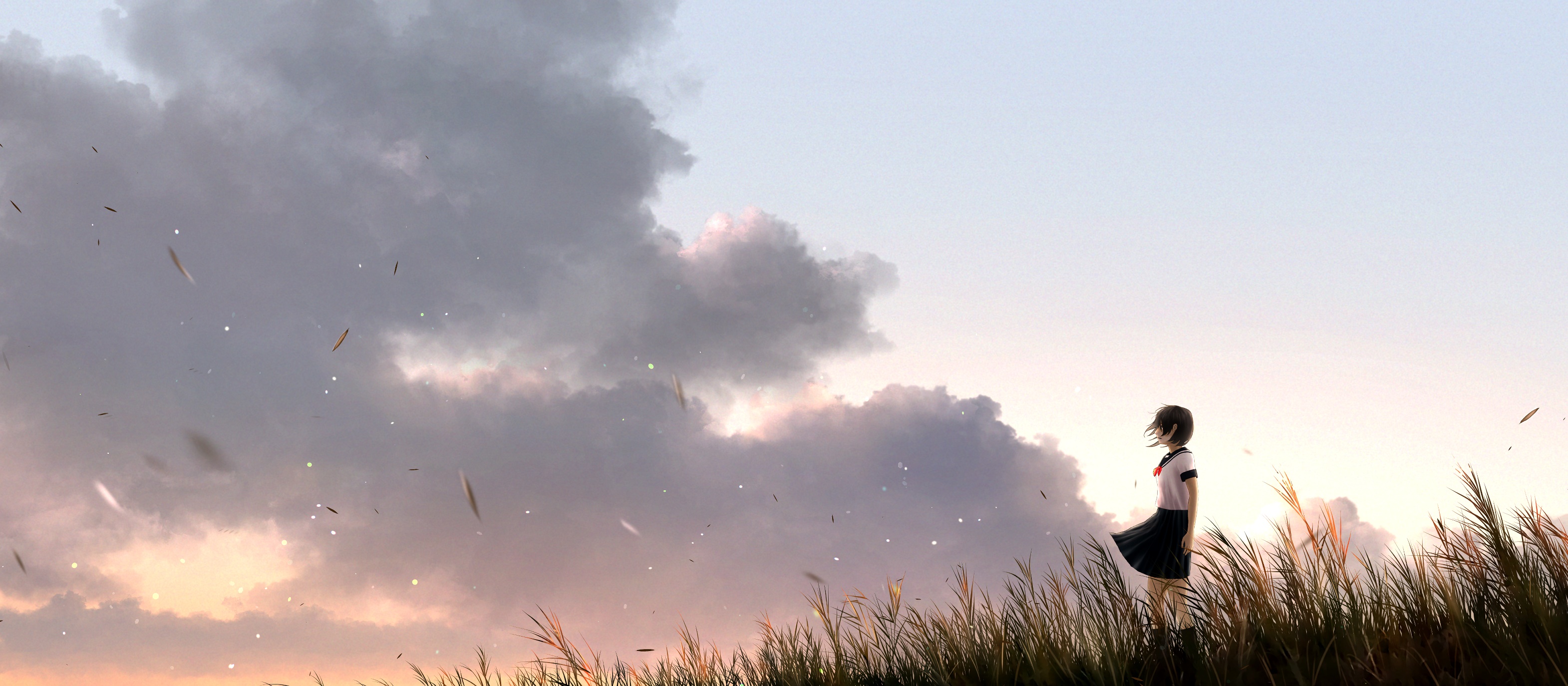 Girl in a field at sunset HD Wallpaper
