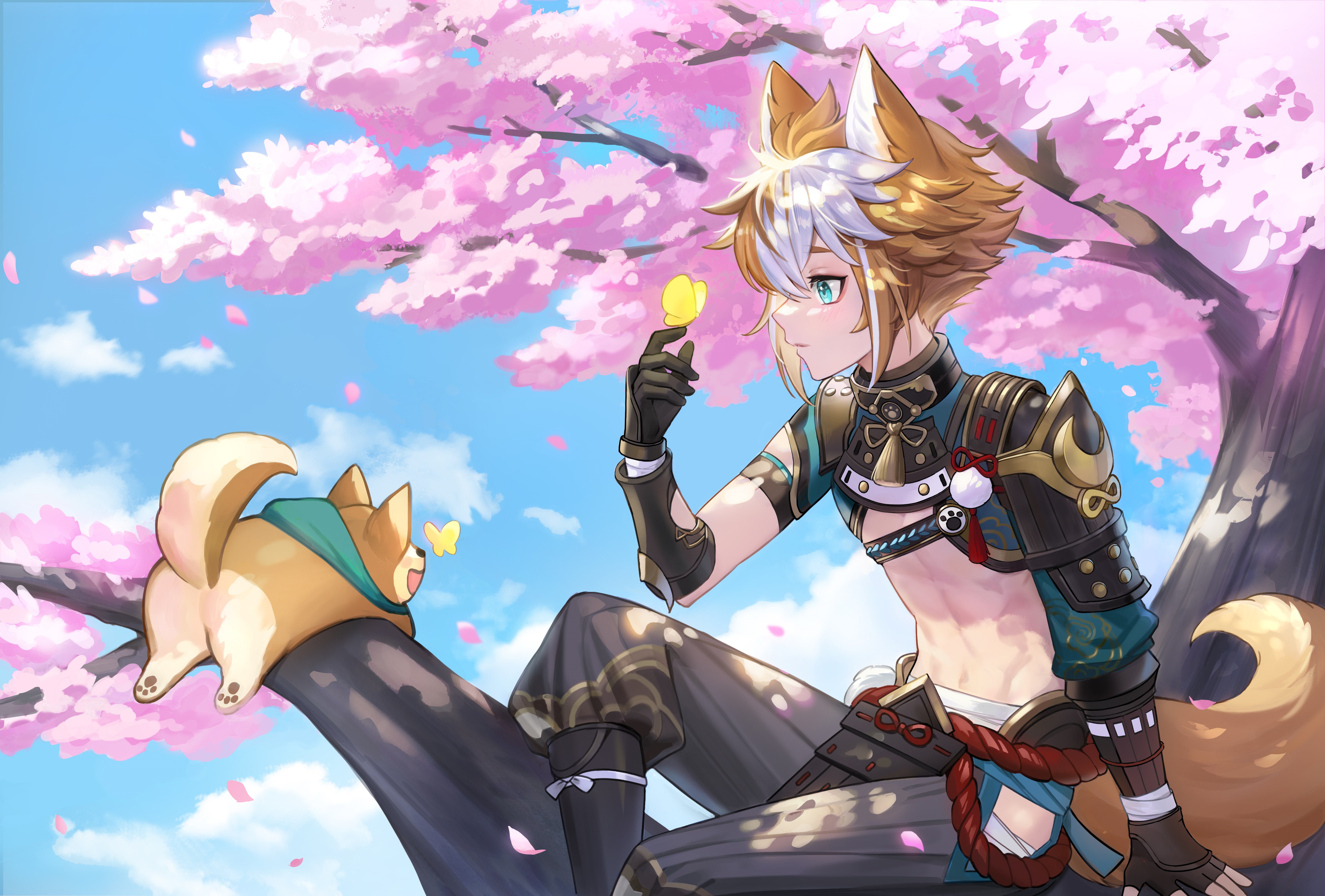 Gorou and Shiba Inu in Cherry Blossom Tree HD Wallpaper