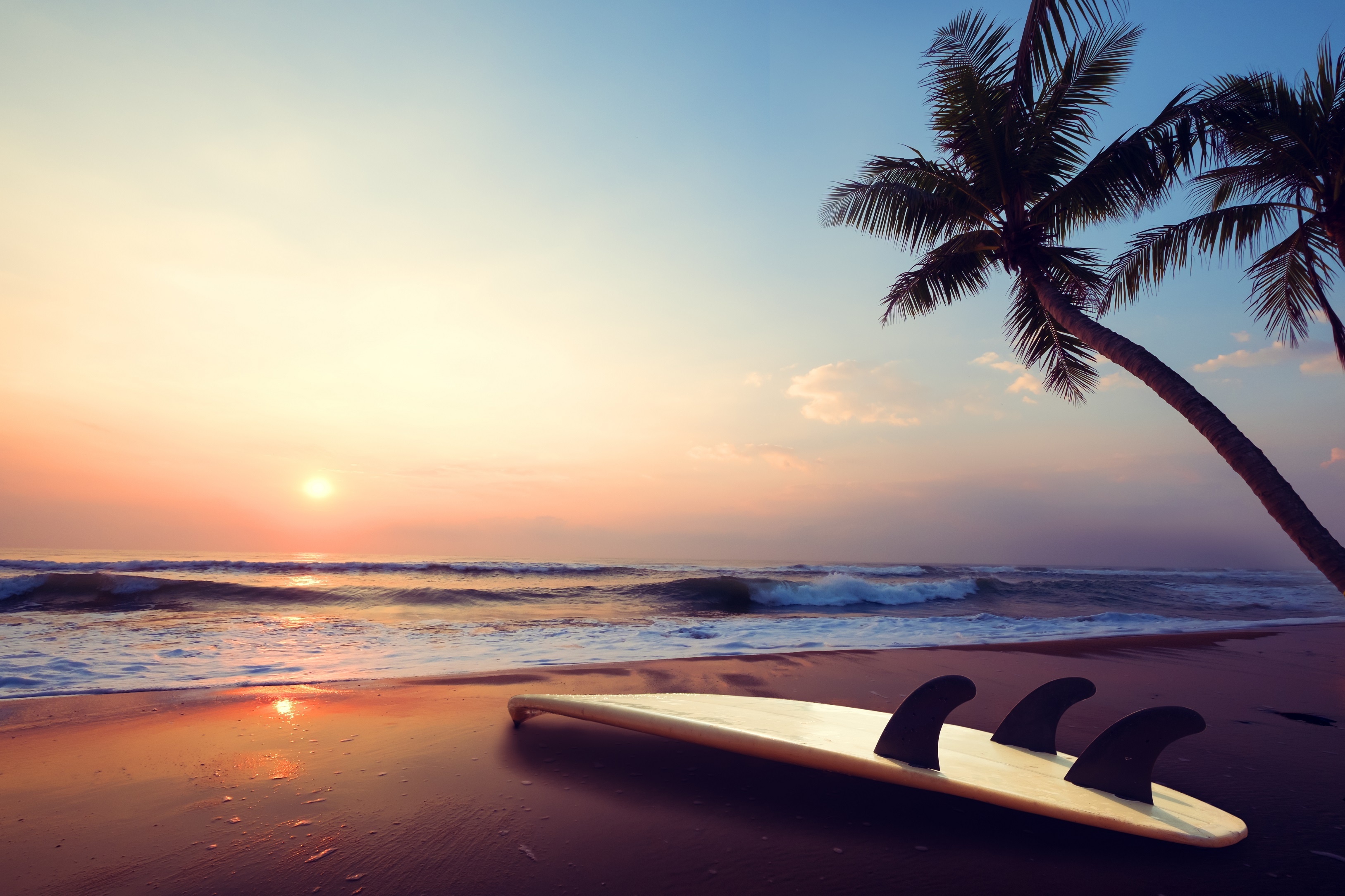 Surfboard on beach at sunset with palm trees HD Wallpaper