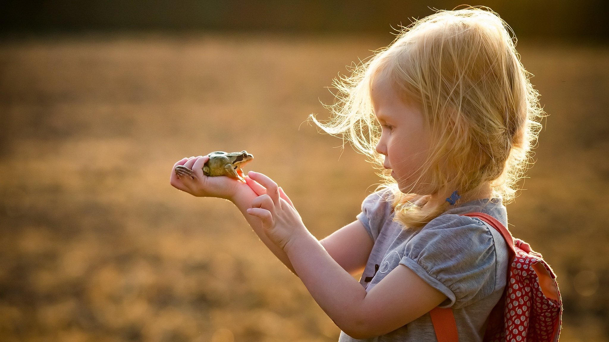 Girl holding a frog in her hands HD Wallpaper