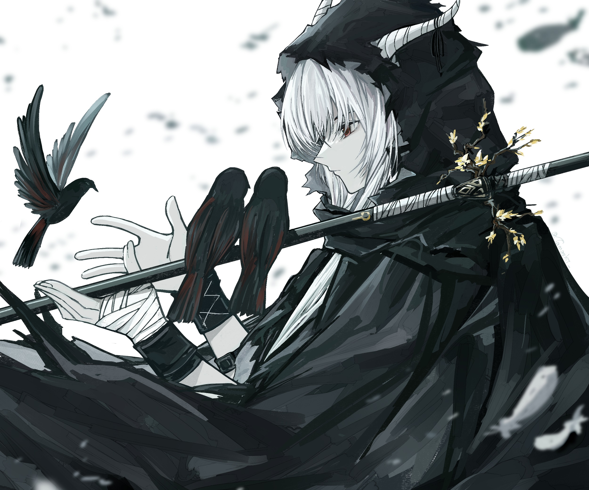 Shining from Arknights with birds and sword HD Wallpaper