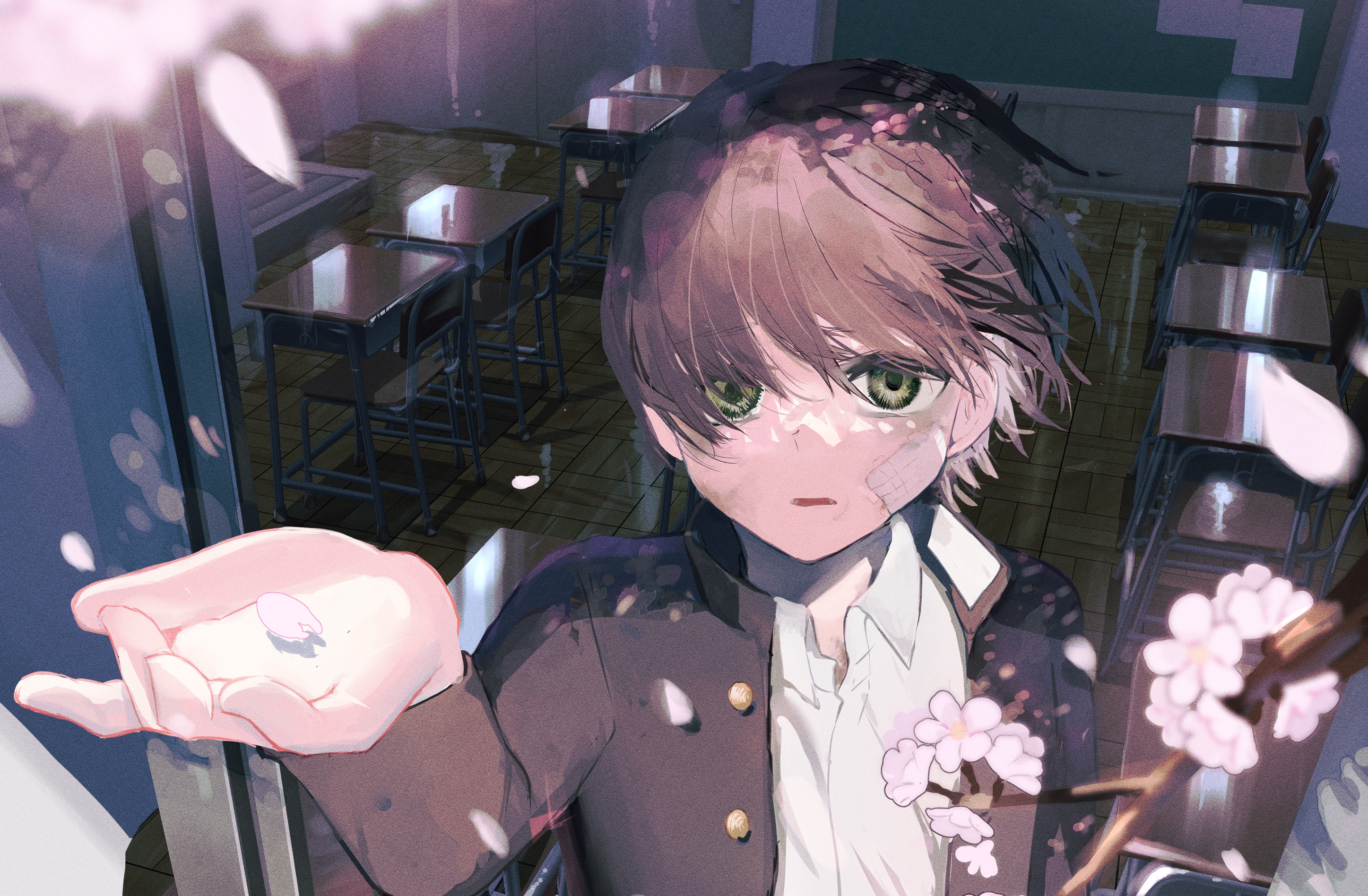 Boy in Classroom with Cherry Blossoms HD Wallpaper