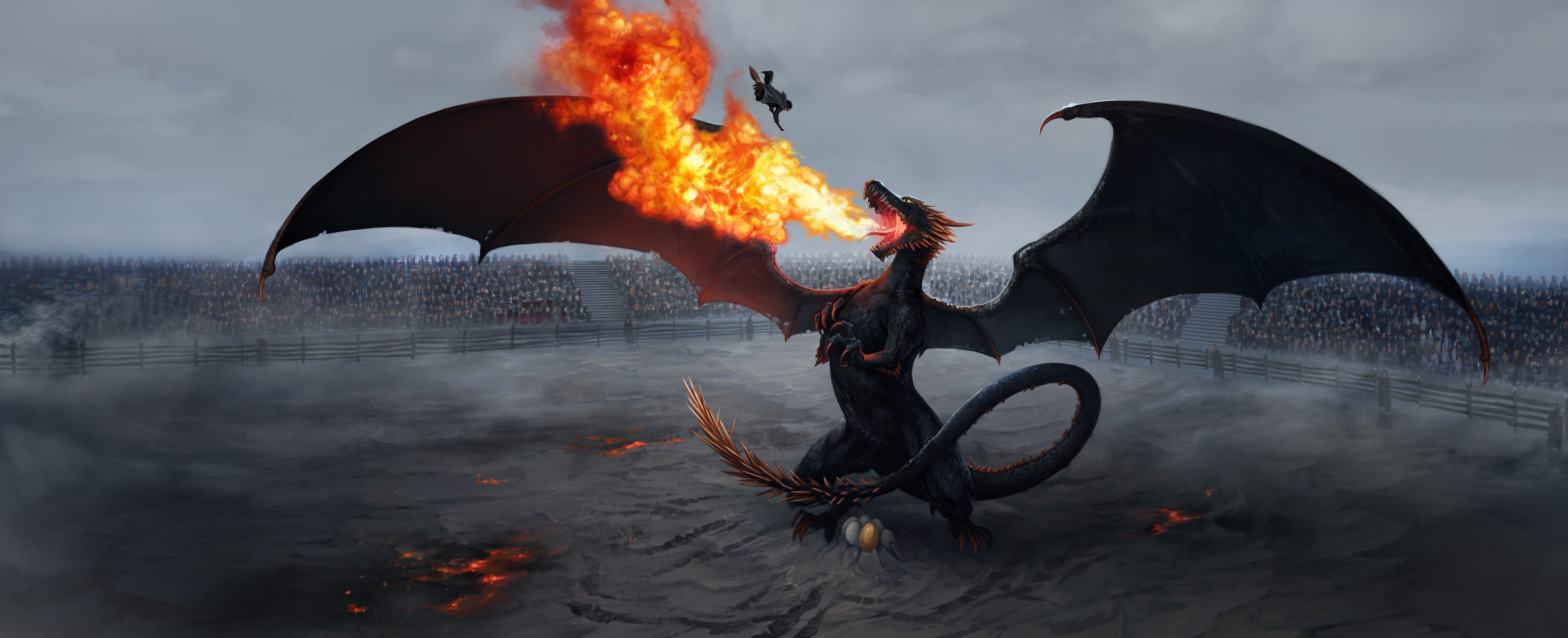 Hungarian Horntail dragon breathing fire at a person HD Wallpaper
