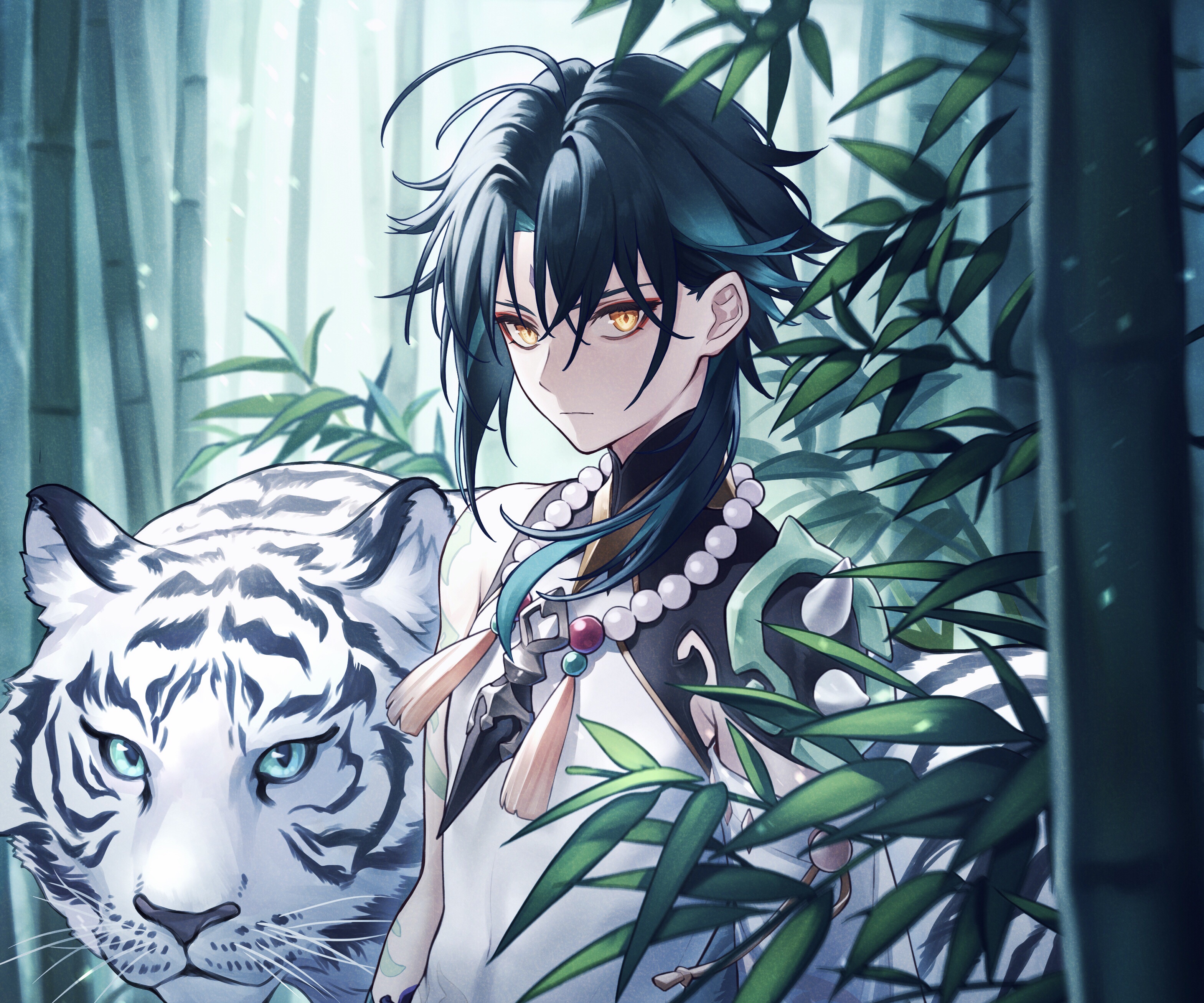 Xiao with a white tiger in a bamboo forest HD Wallpaper