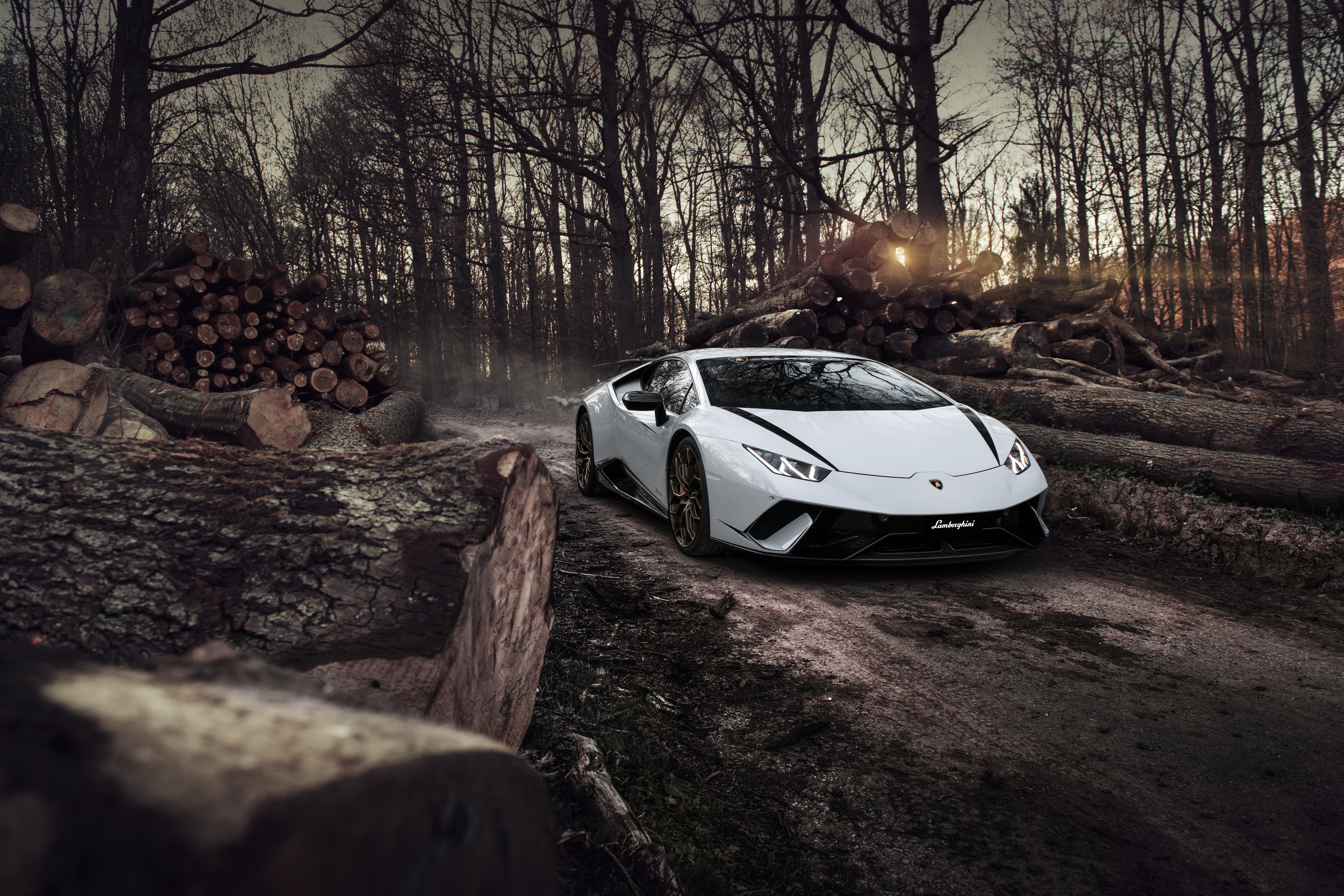 White Lamborghini Huracan Performante in forest HD Wallpaper