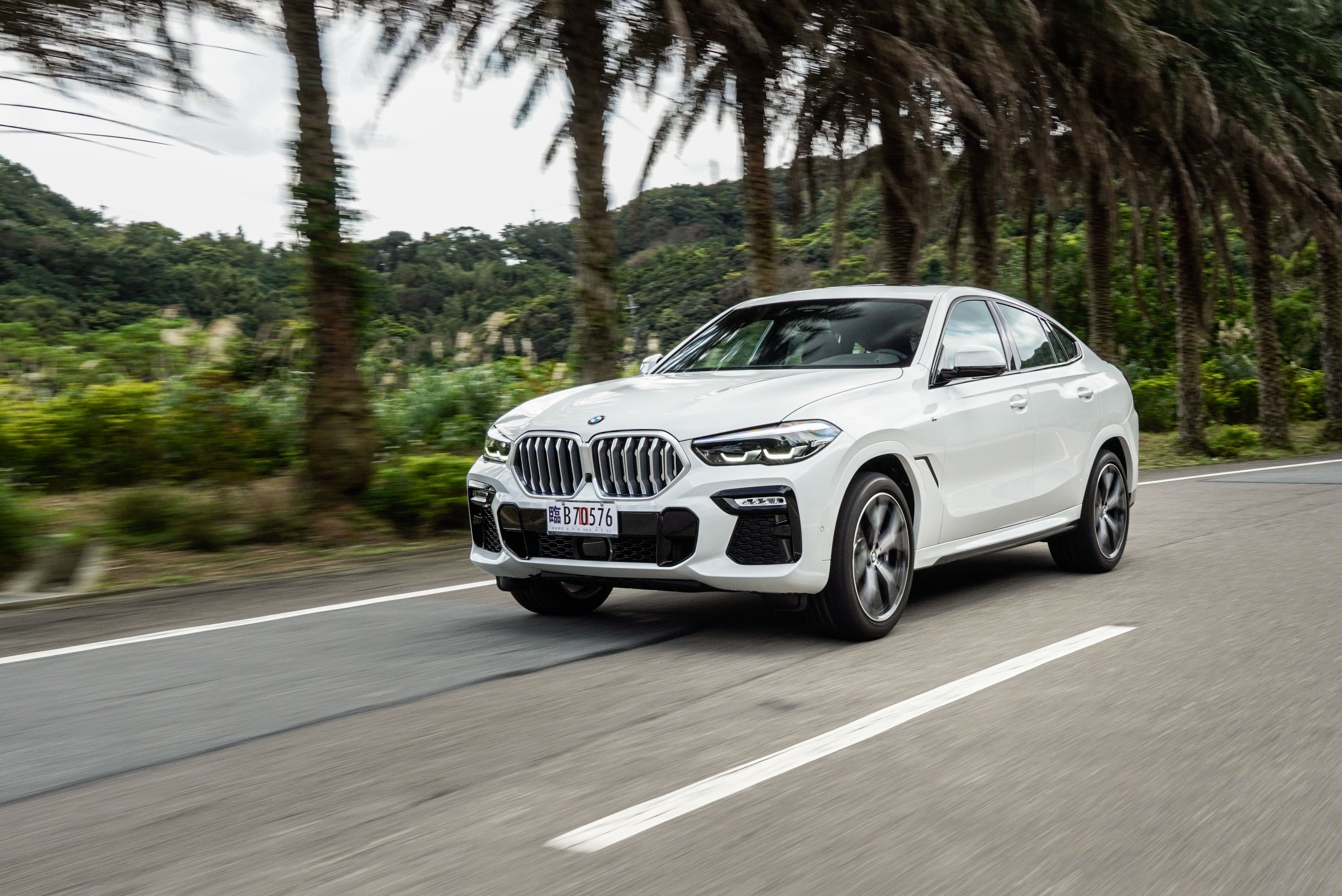 White BMW X6 driving on a road lined with palm trees HD Wallpaper