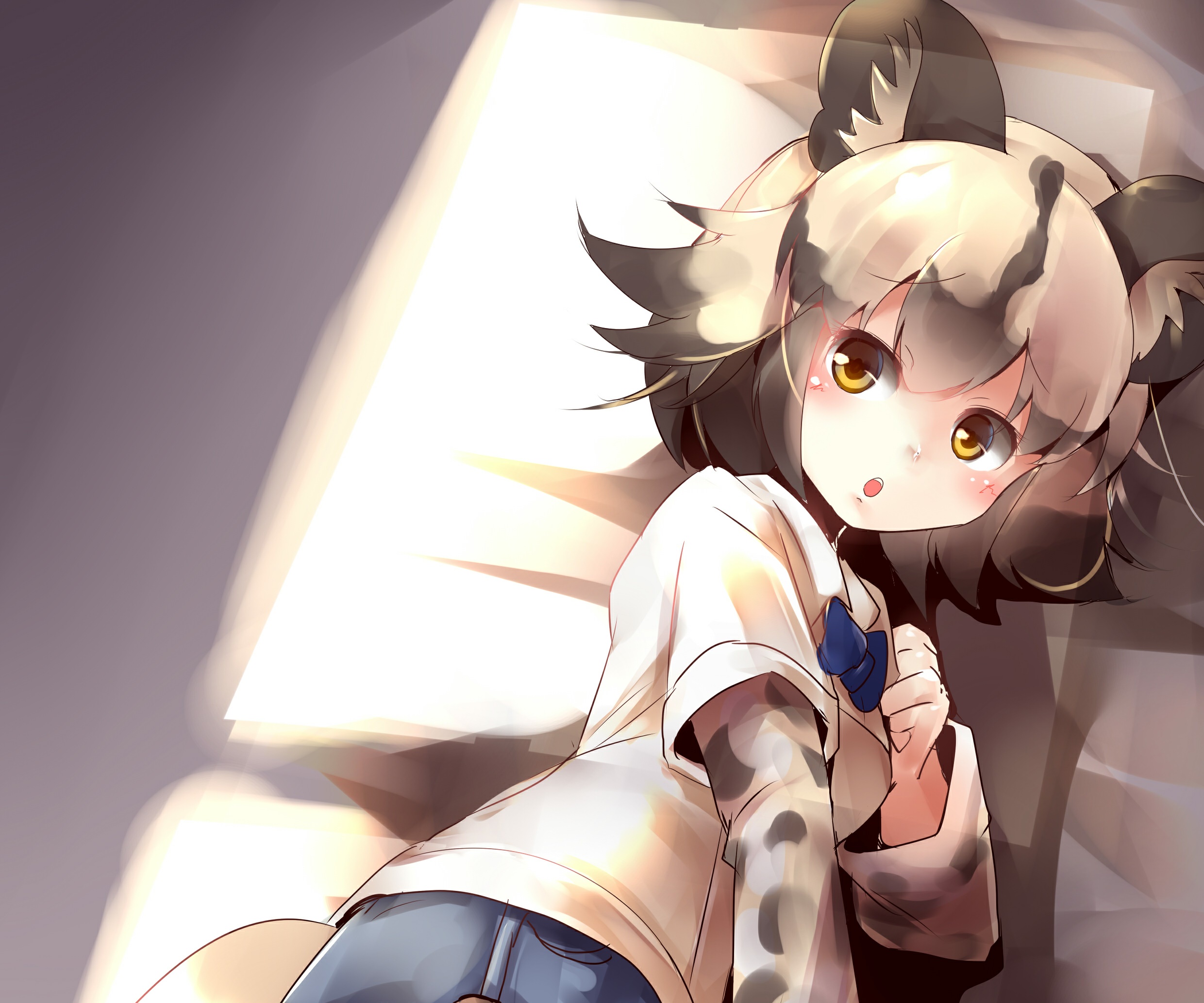 African Wild Dog from Kemono Friends HD Wallpaper