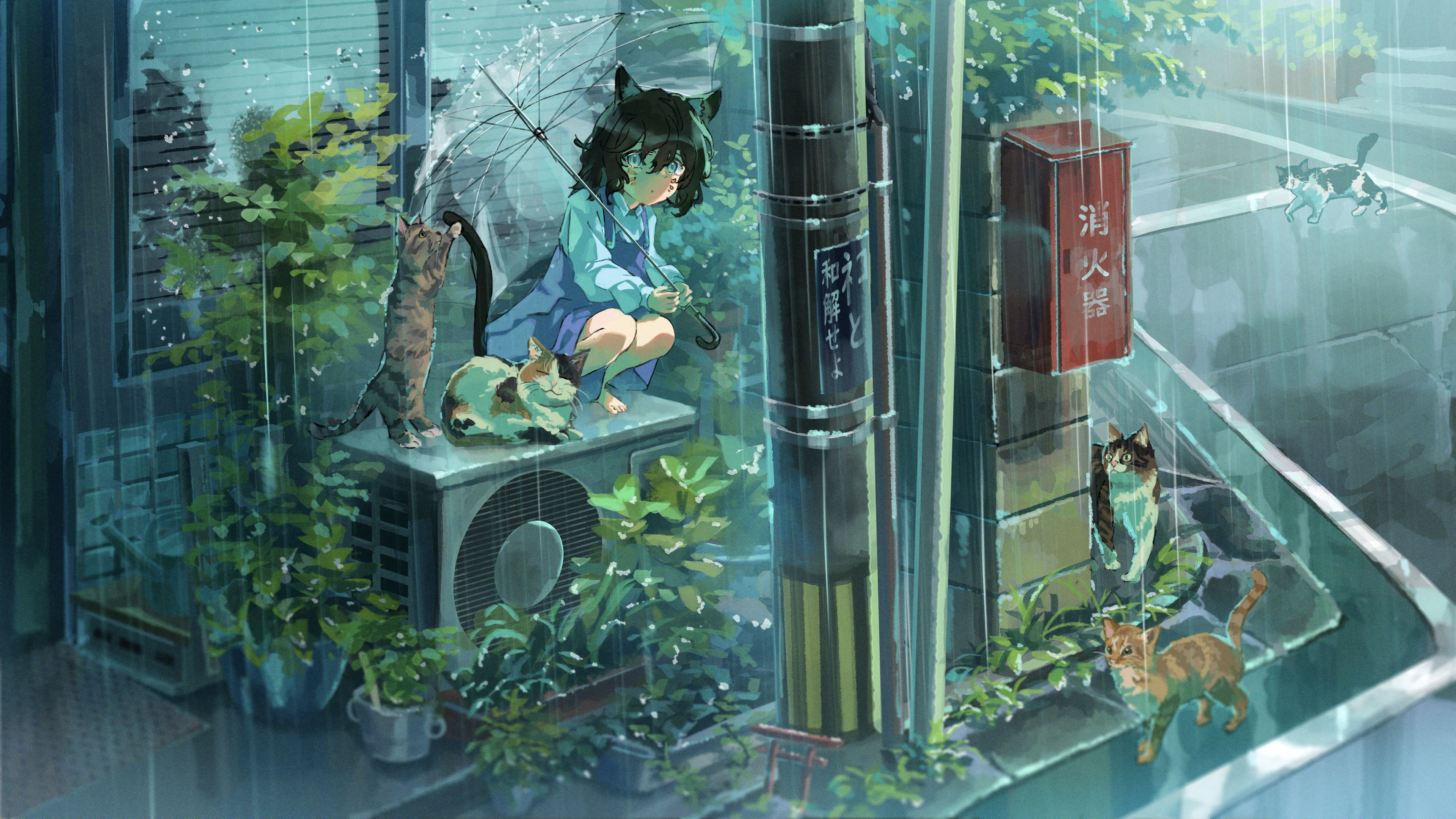 Girl with Cat in the Rain HD Wallpaper