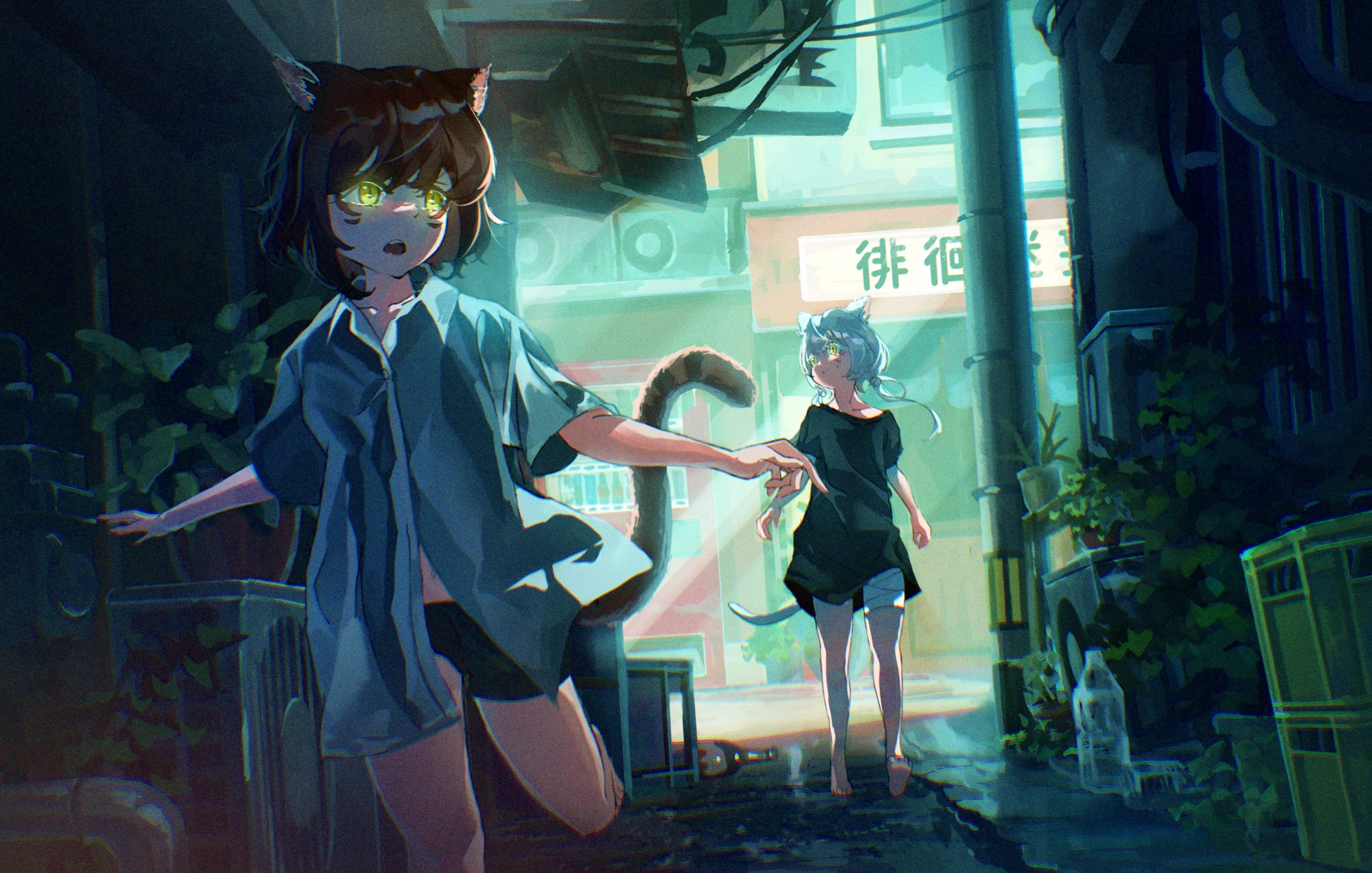 Two cat-eared girls in an alley at night HD Wallpaper