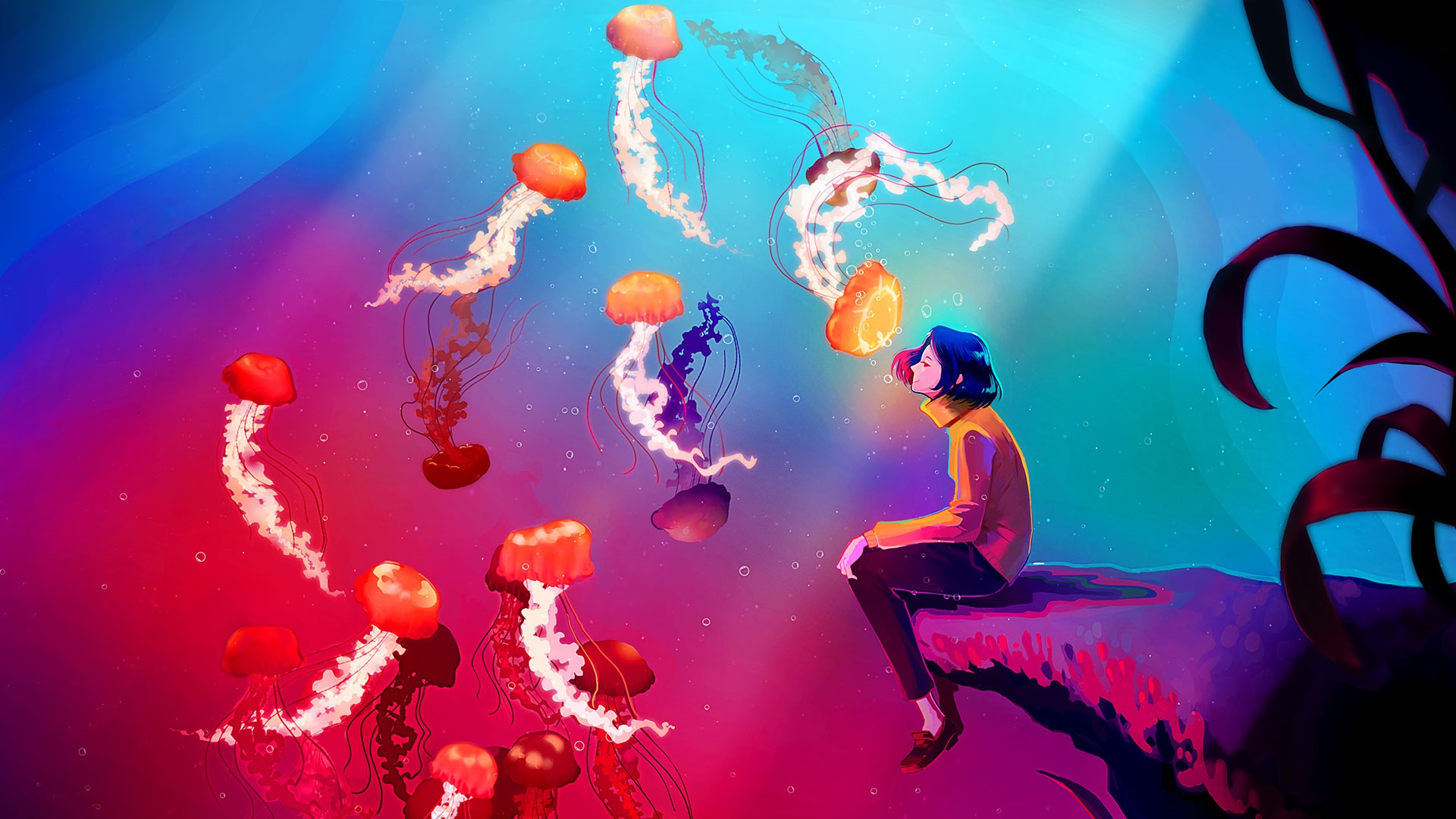 A person takes a break surrounded by jellyfish HD Wallpaper