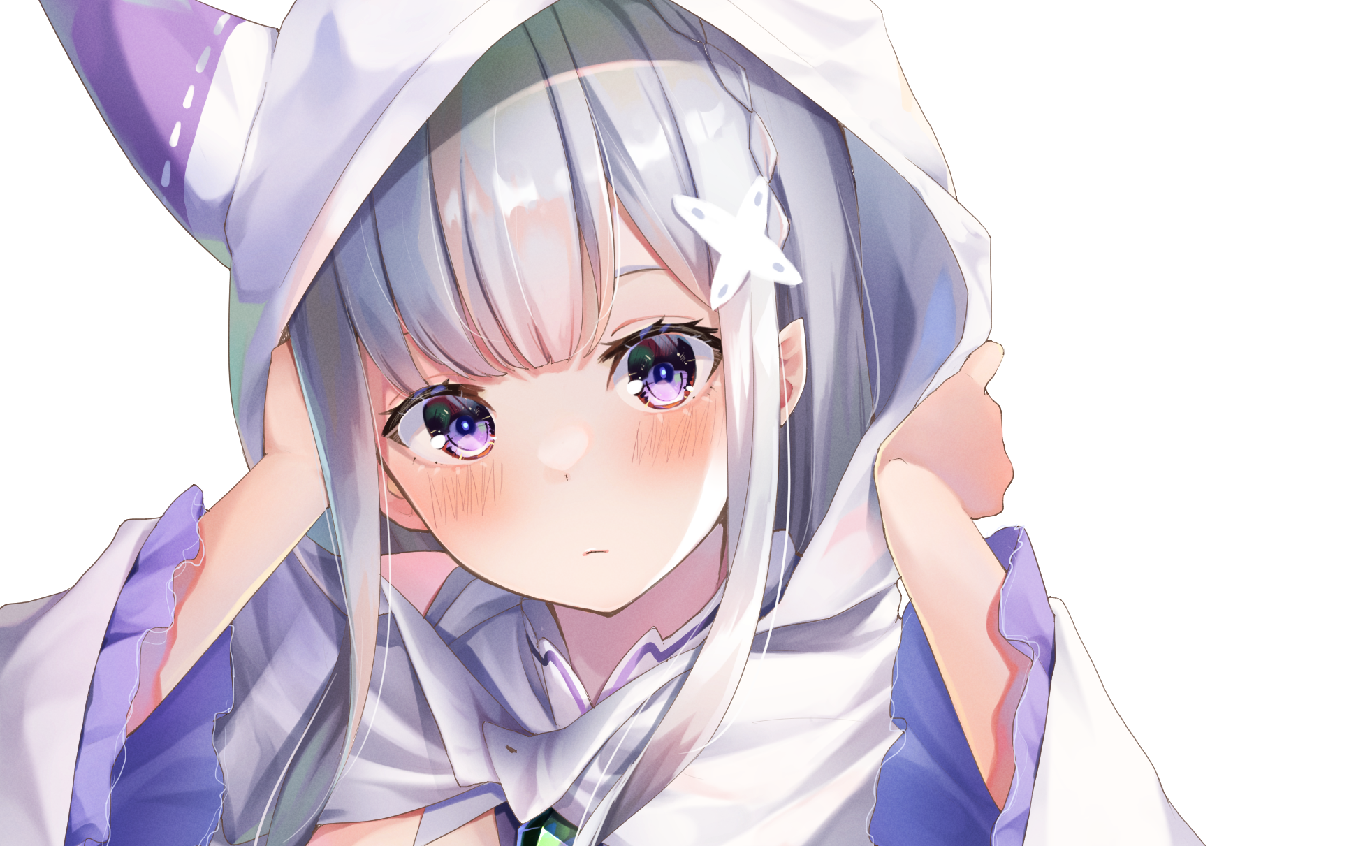 Emilia from Re:ZERO -Starting Life In Another World- HD Wallpaper