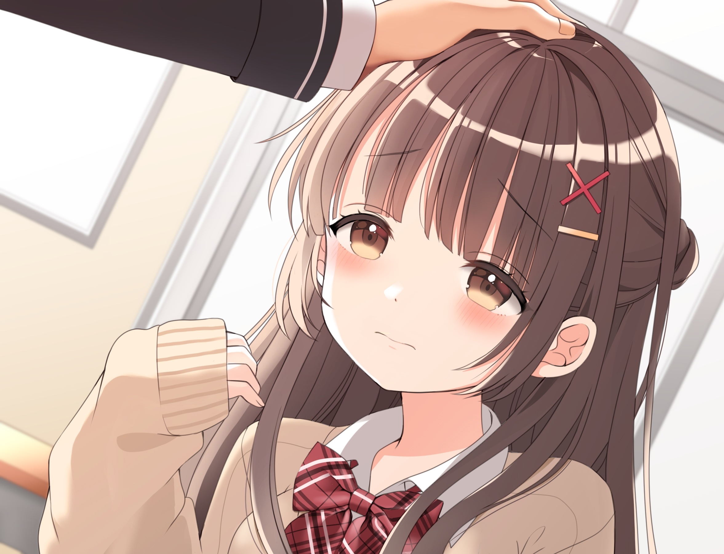 Girl with brown hair being petted HD Wallpaper