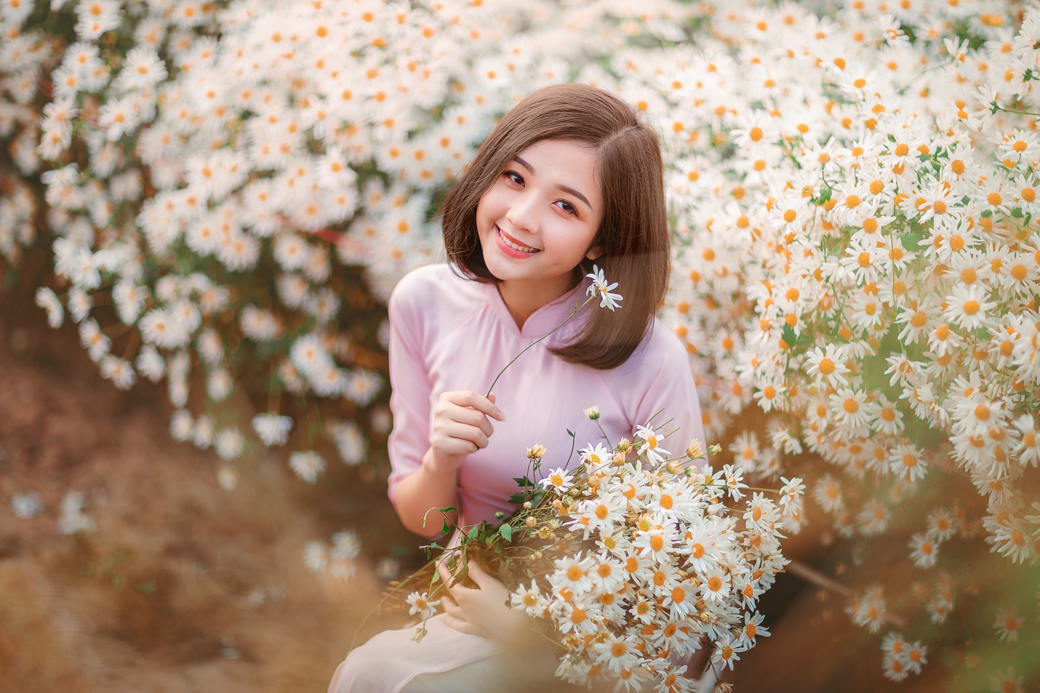 Young Asian woman in pink dress holding chamomile flowers HD Wallpaper