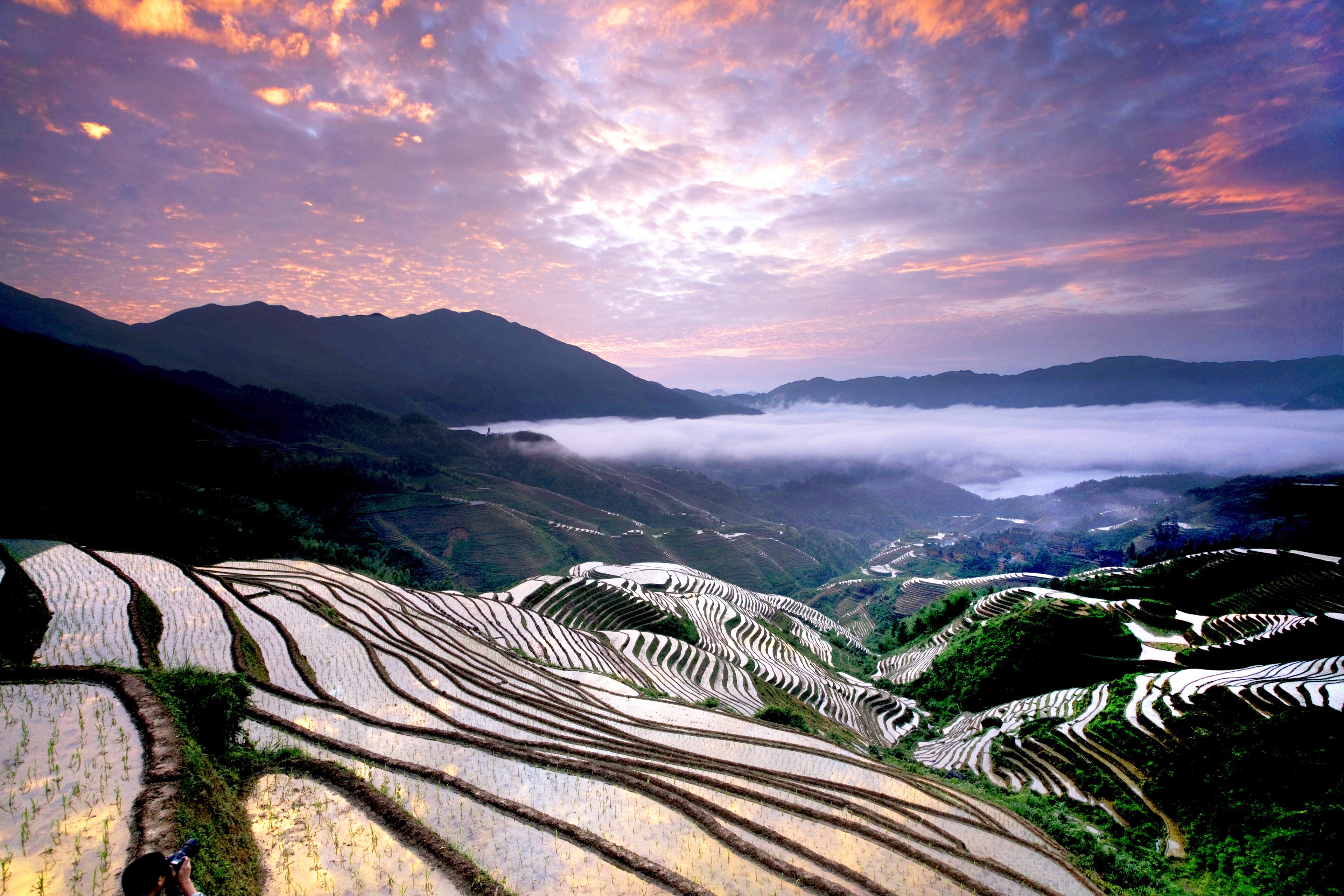 Rice Terraces at Sunrise with Fog HD Wallpaper