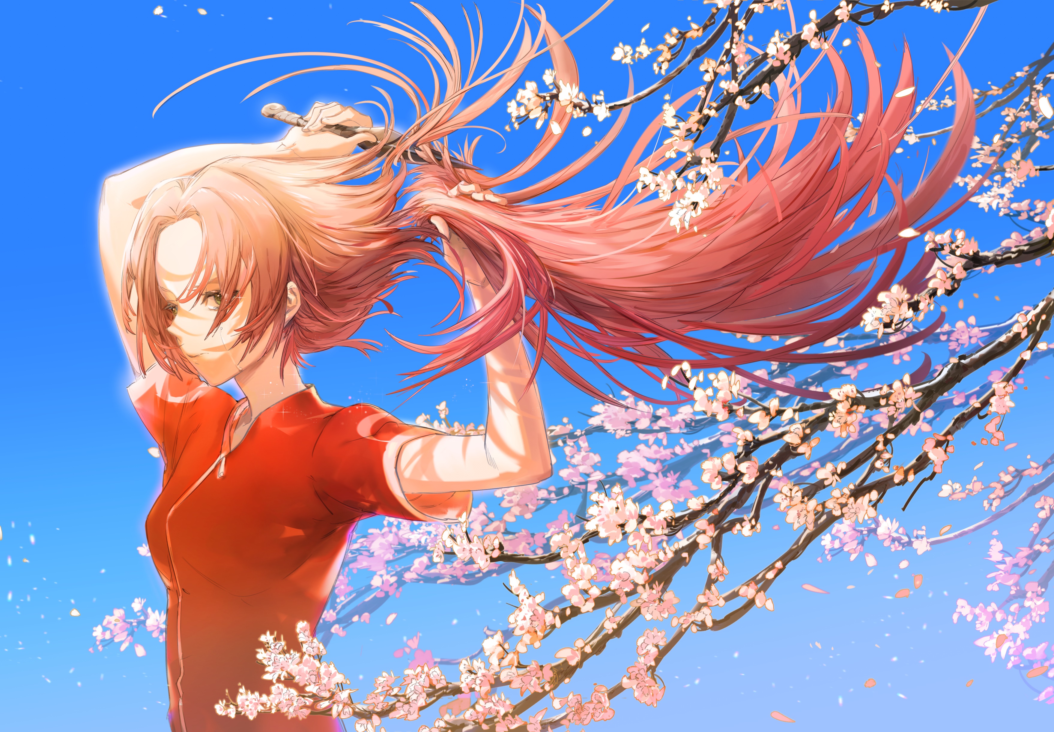 Sakura Haruno from Naruto with Cherry Blossoms HD Wallpaper