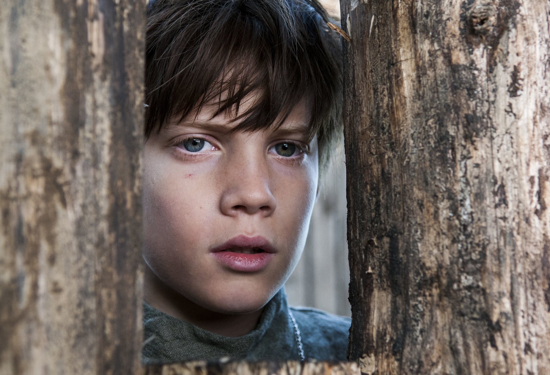 Boy peeking through wooden planks HD Wallpaper