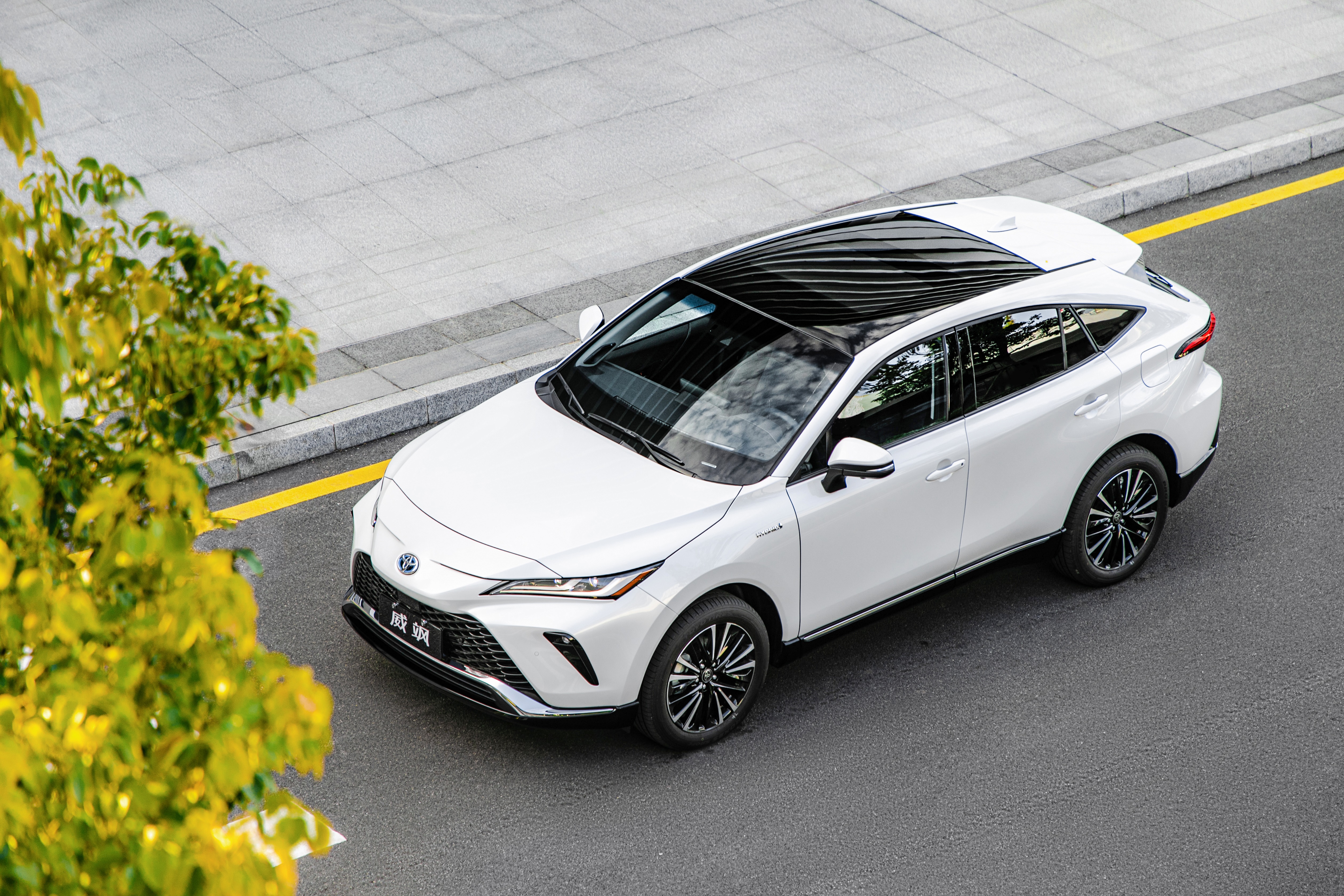 White Toyota Venza Hybrid 4K HD Wallpaper