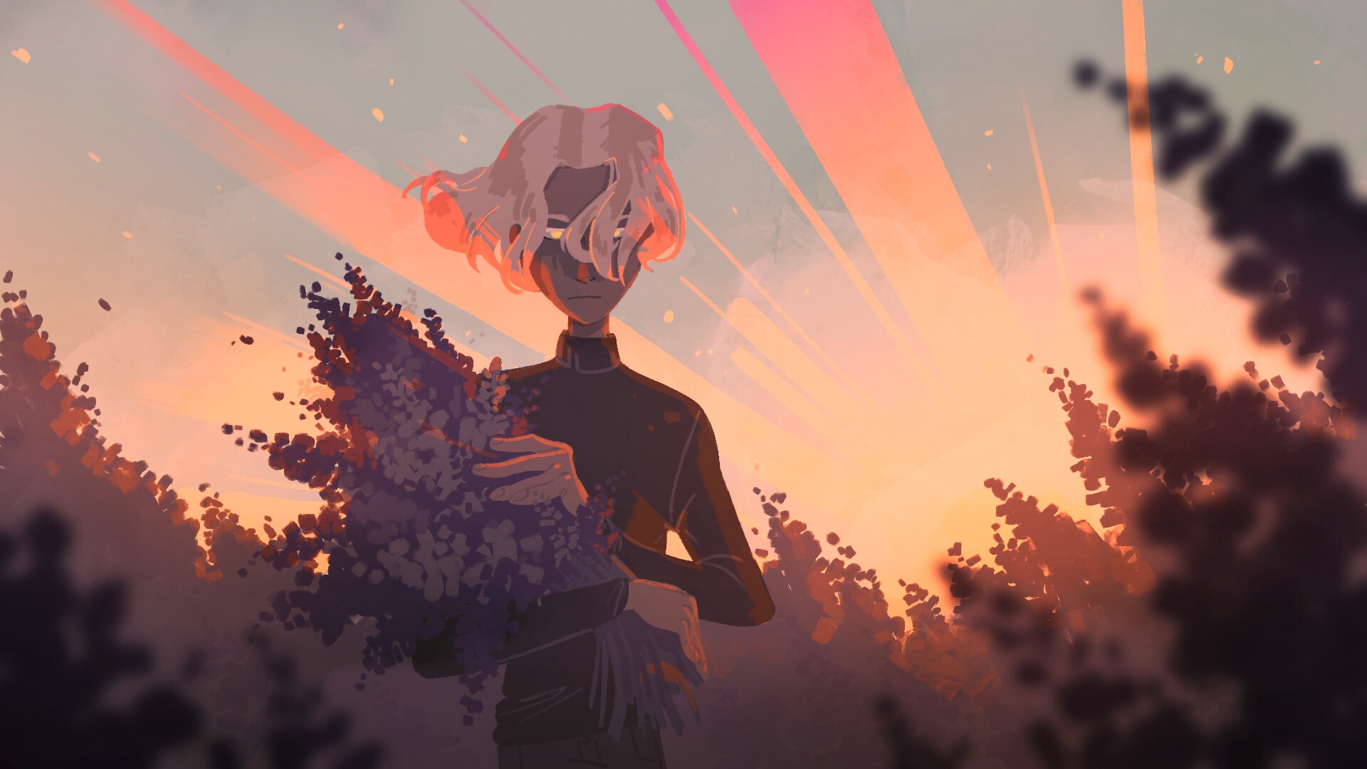 Person holding flowers against sunset HD Wallpaper