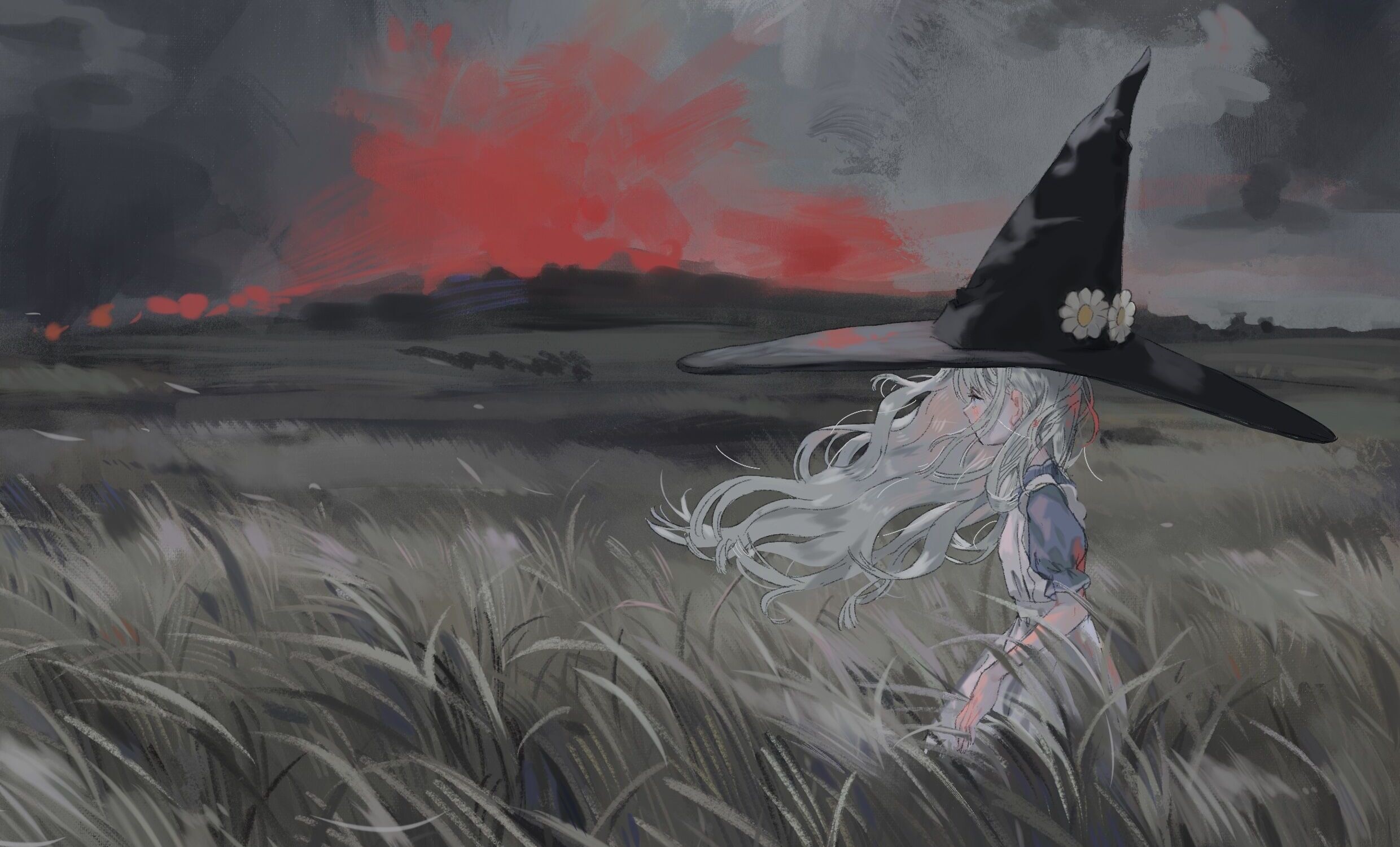 Witch in a field with red sky HD Wallpaper