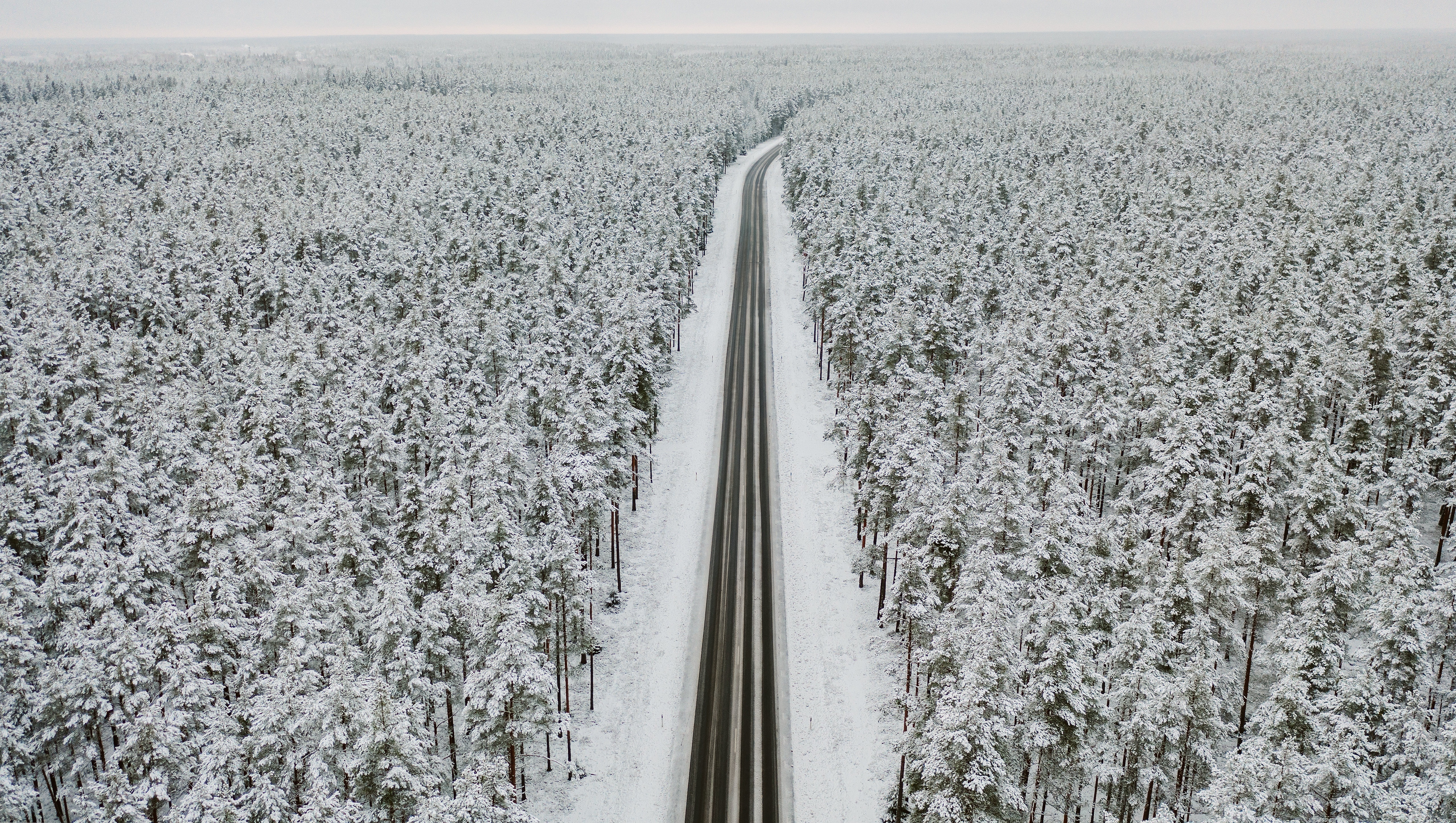 Road through a snow-covered forest HD Wallpaper