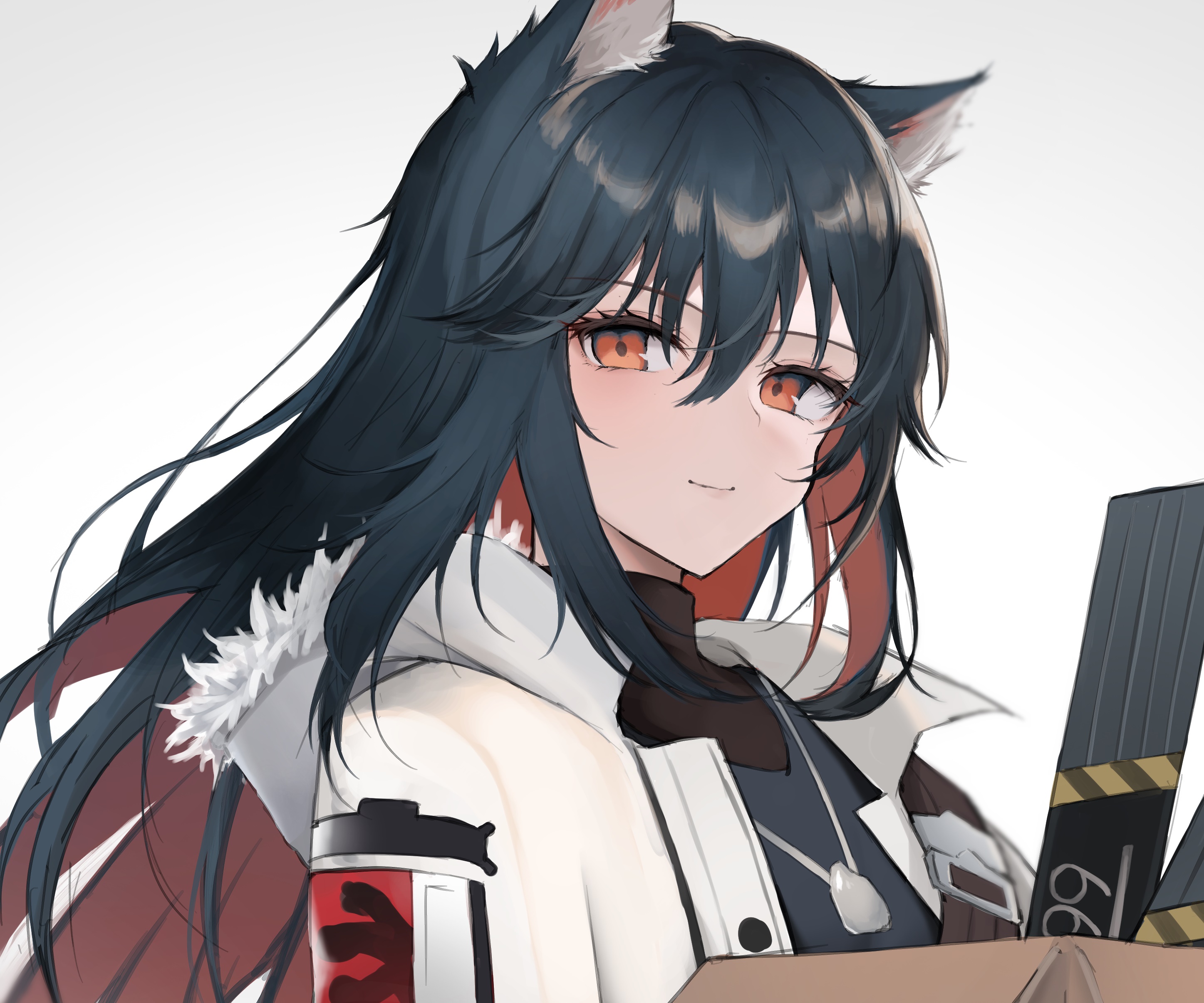 Texas from Arknights holding a box HD Wallpaper