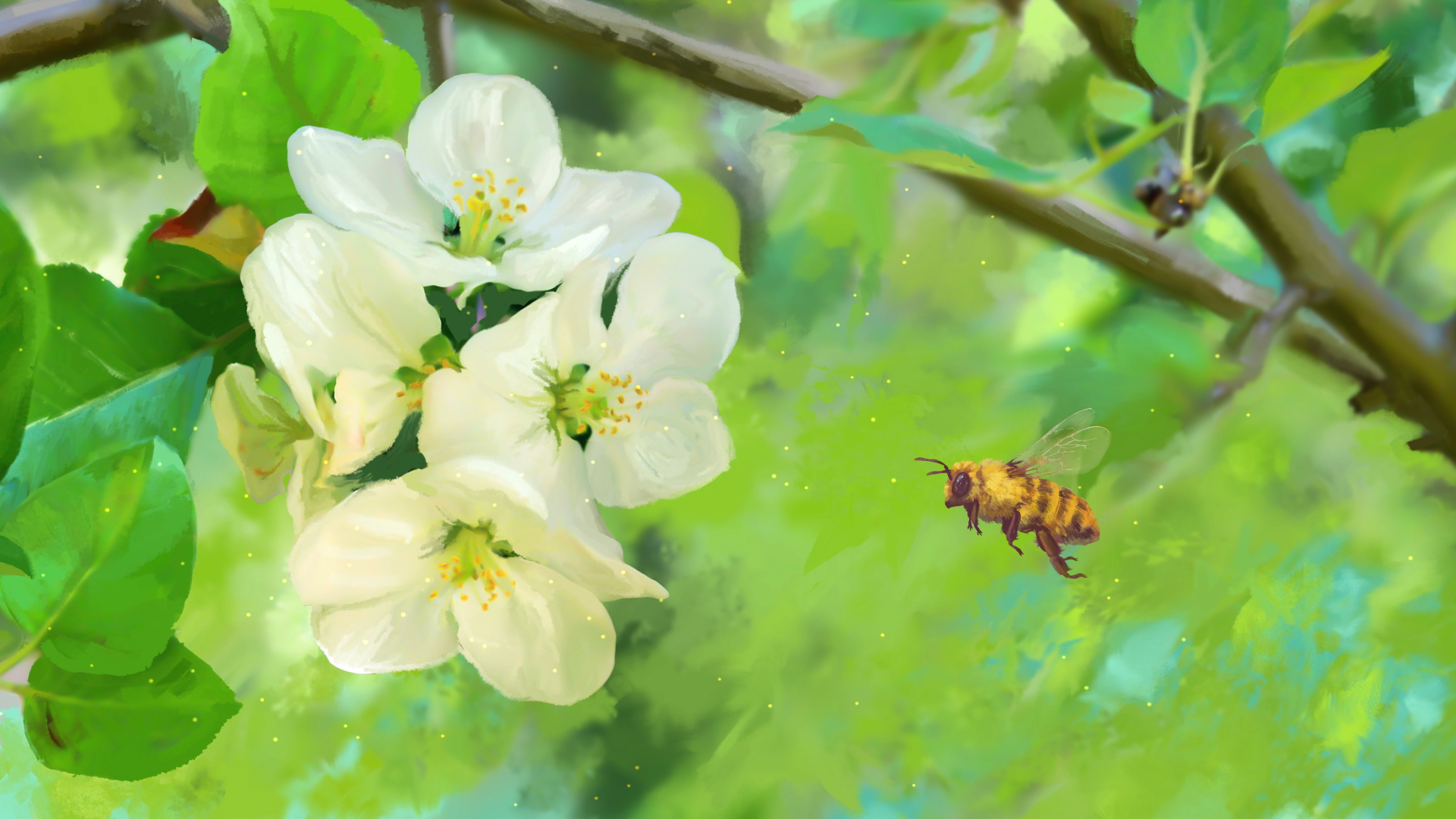 Bee flying near apple blossoms HD Wallpaper