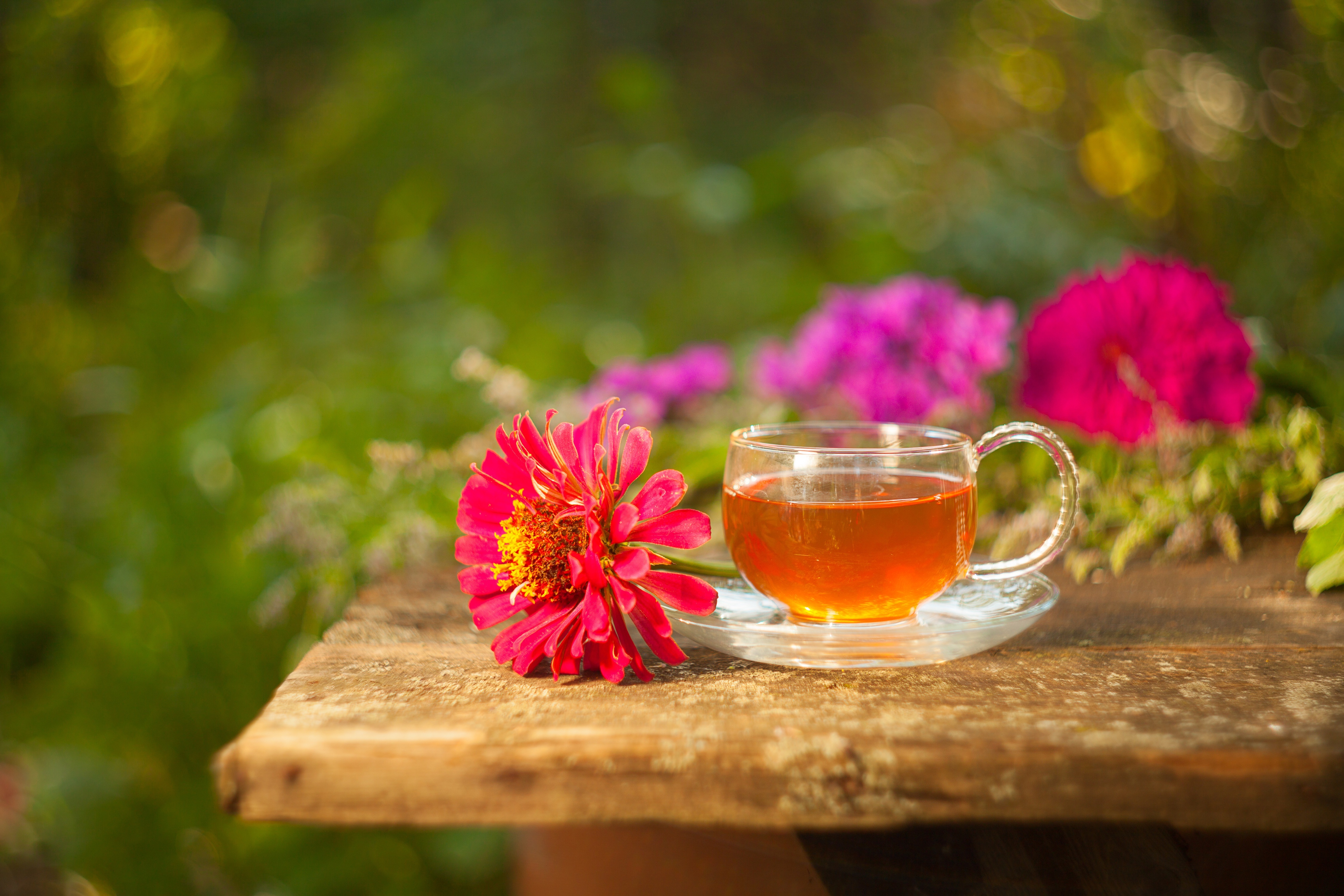 Tea with a flower on a wooden table HD Wallpaper