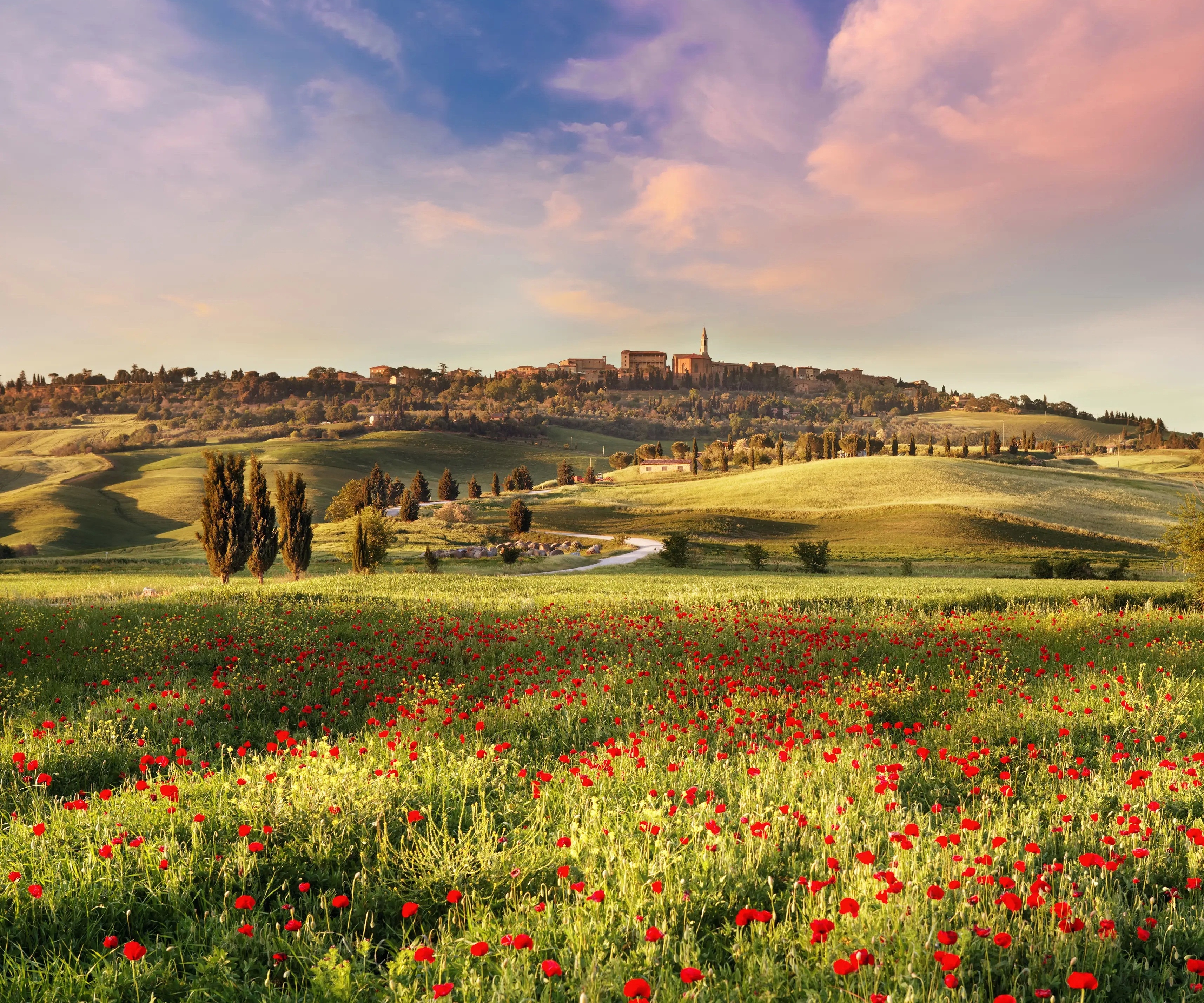 Tuscany landscape with poppy field and town HD Wallpaper