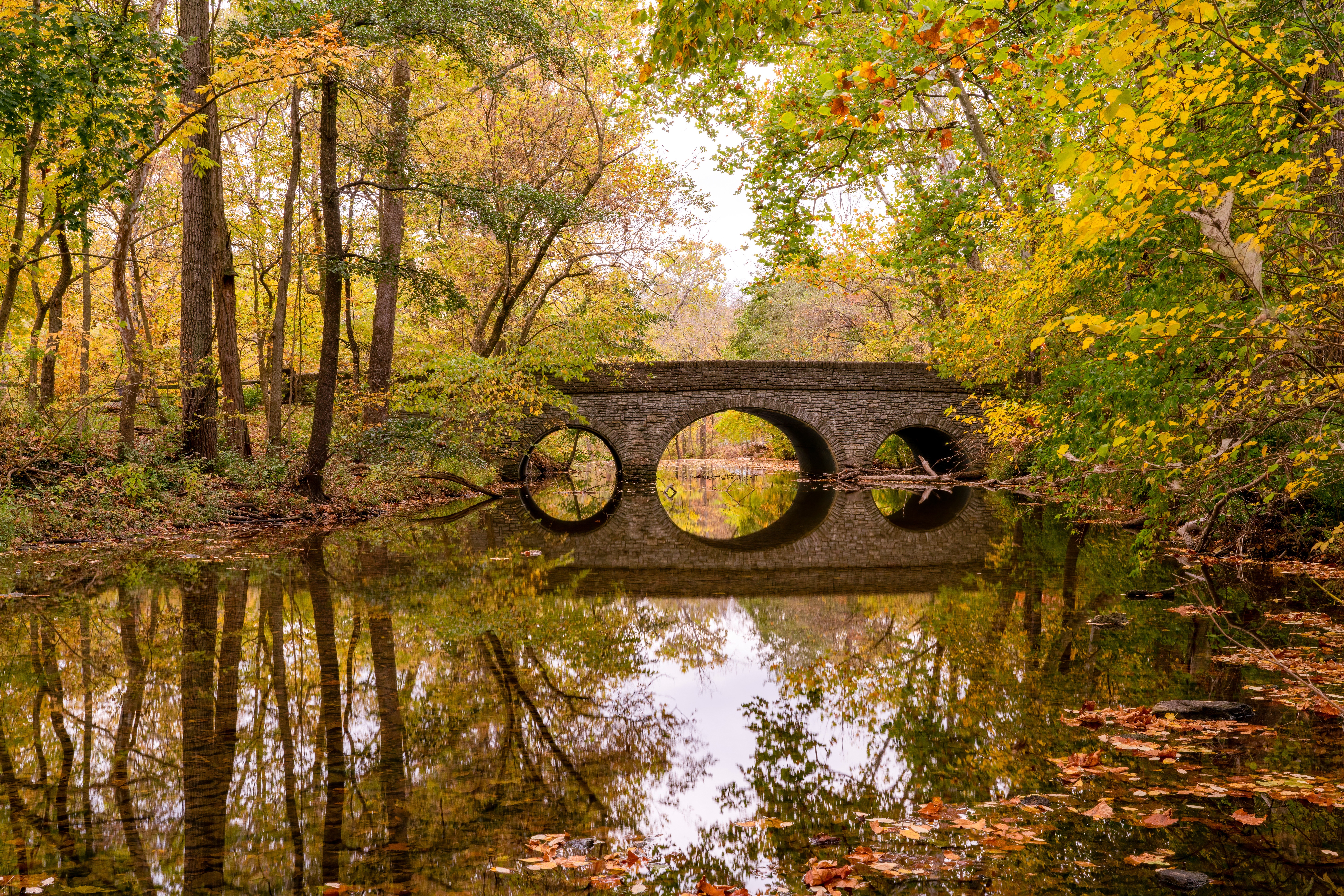 Stone bridge over a river with autumn foliage reflection HD Wallpaper