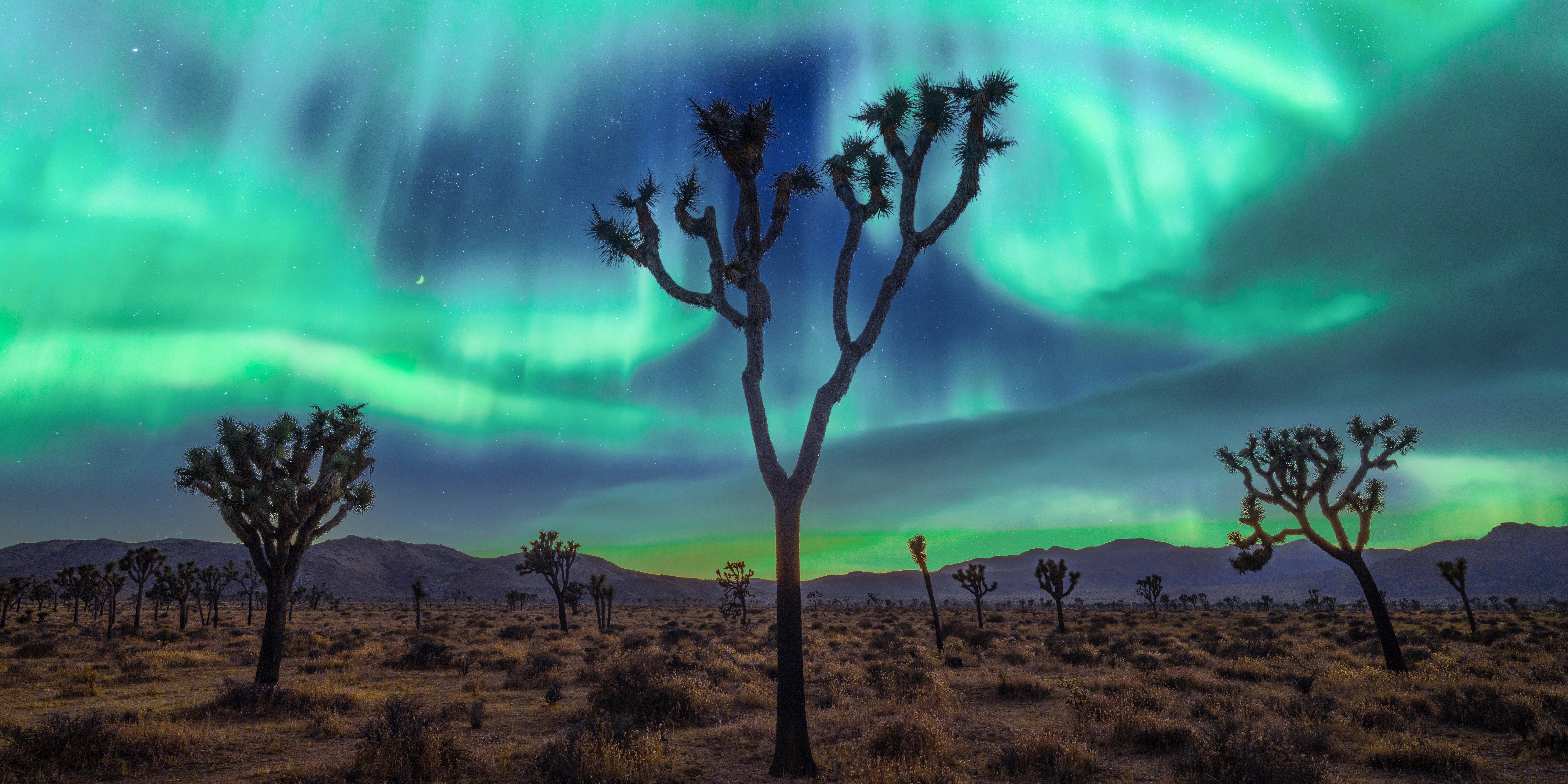 Joshua Tree National Park Aurora Borealis 4K HD Wallpaper