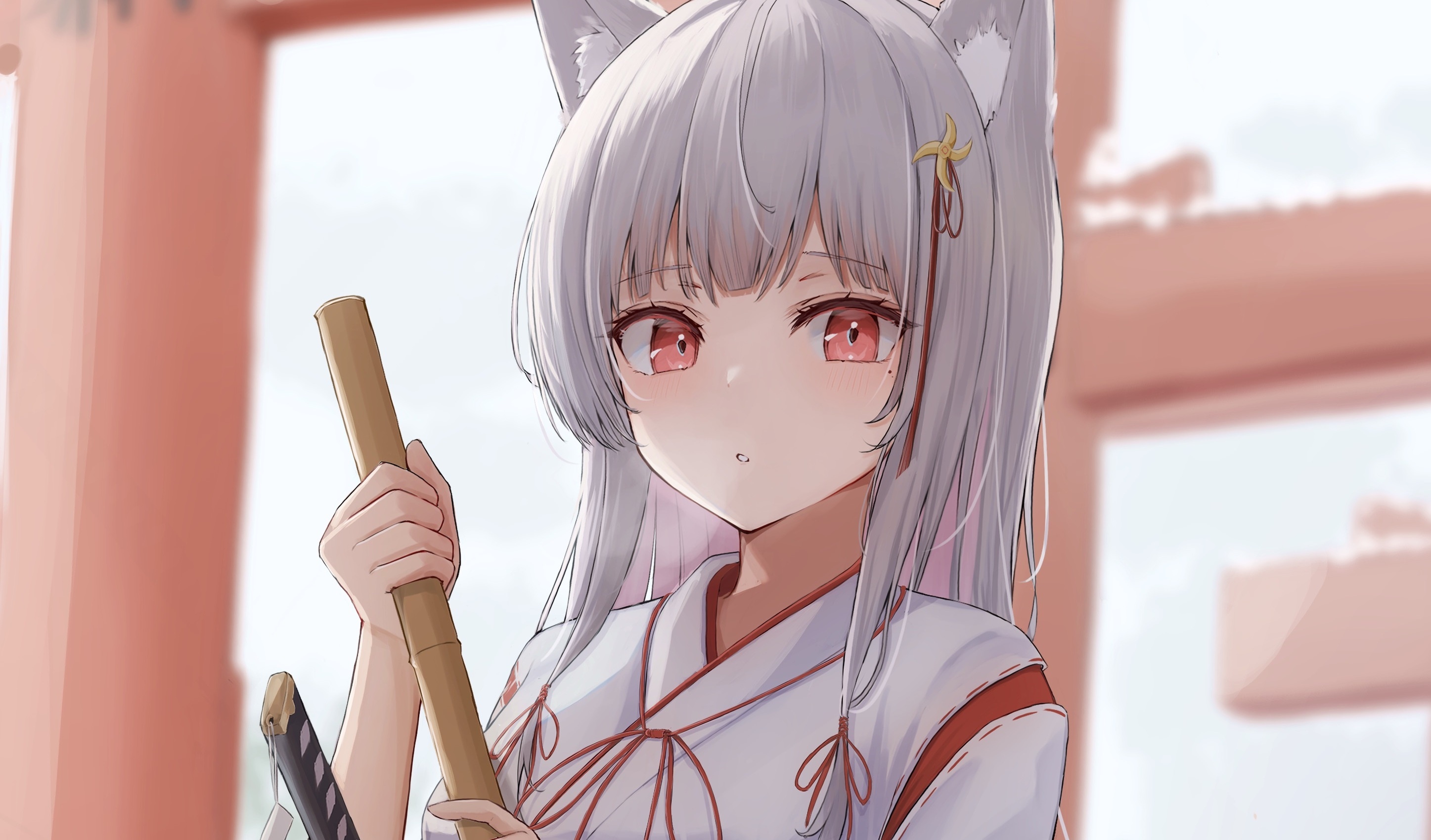 Anime girl with fox ears and sword HD Wallpaper