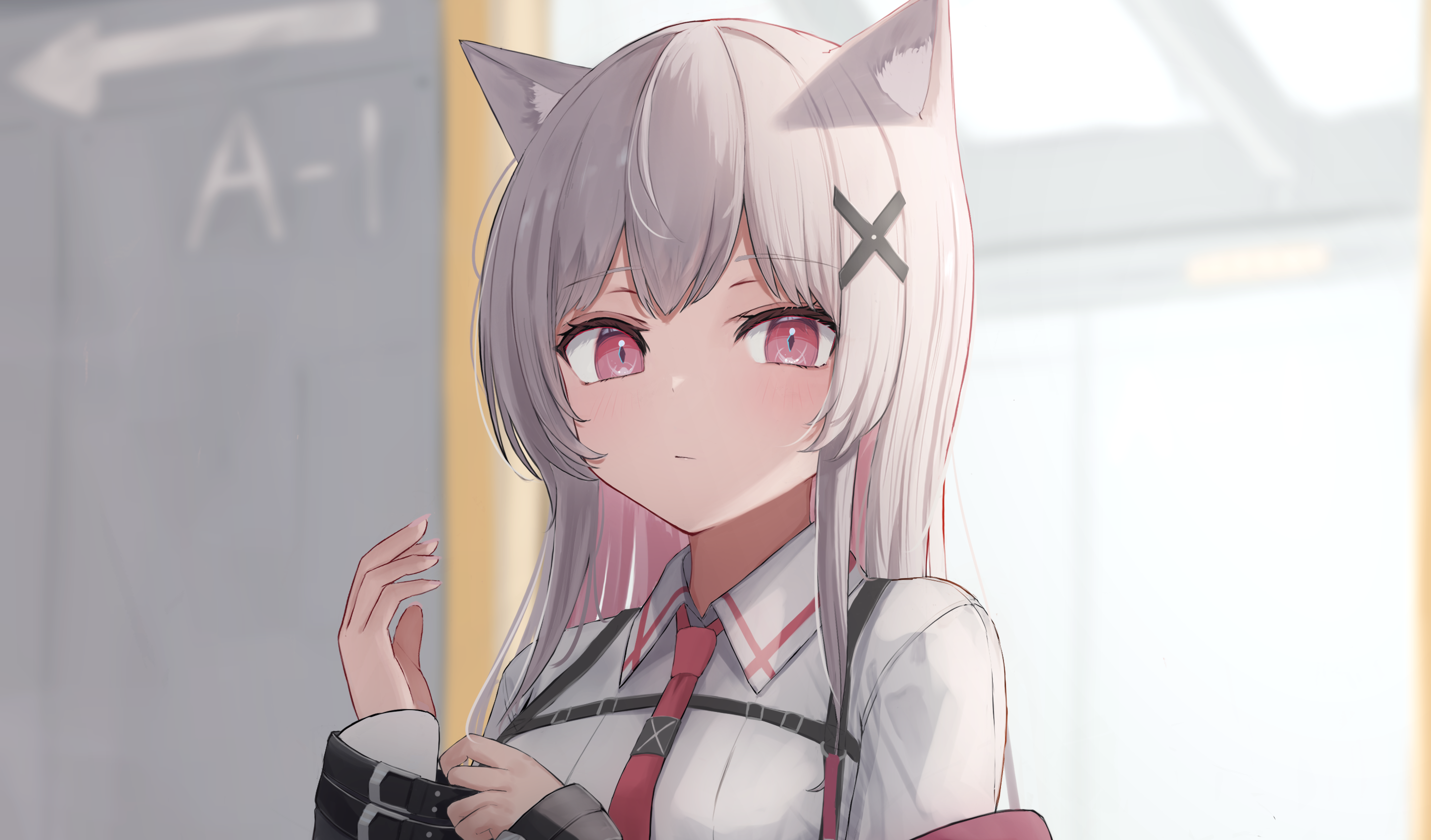 Anime girl with cat ears and pink eyes HD Wallpaper