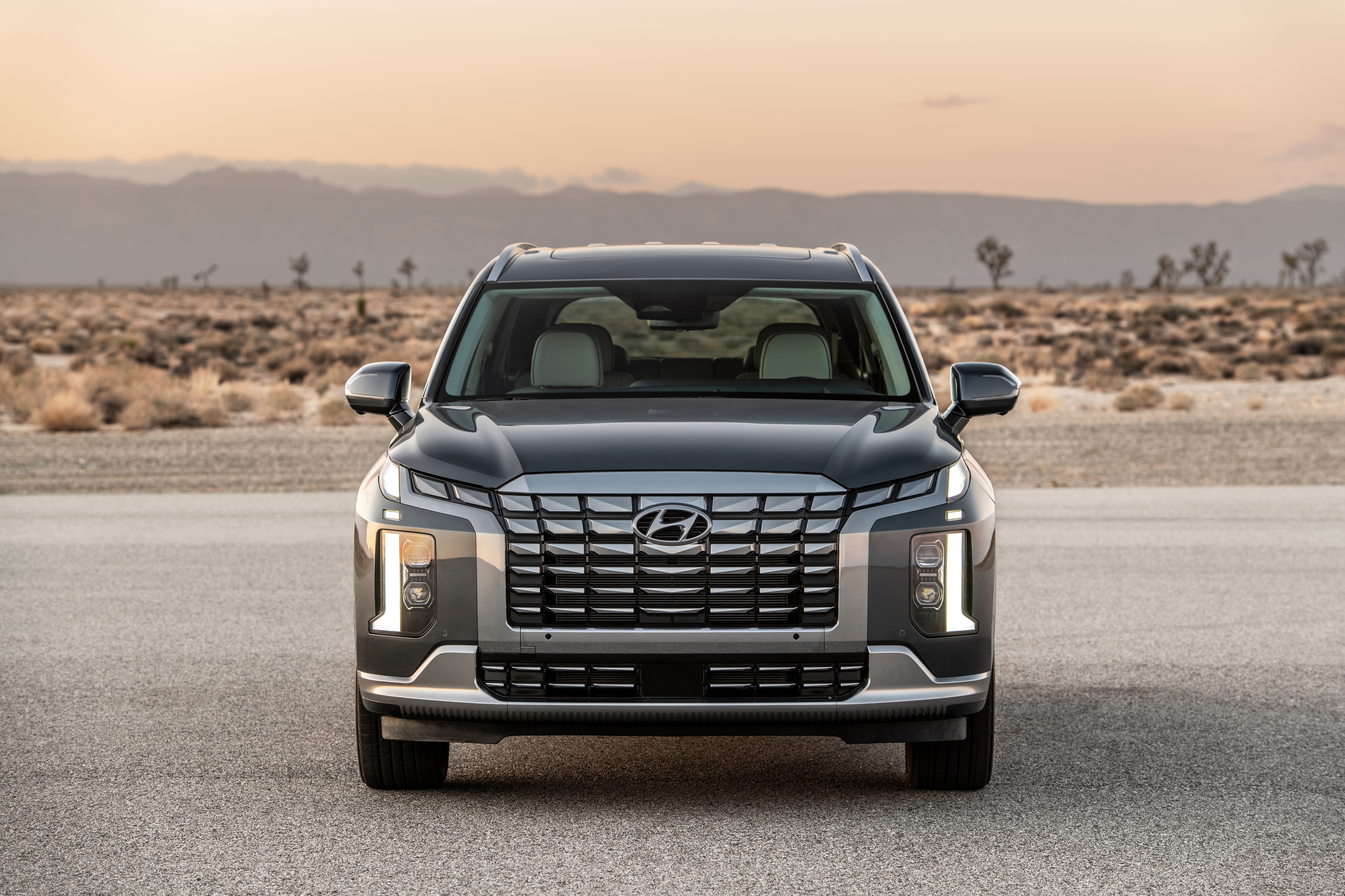 Hyundai Palisade SUV in desert landscape HD Wallpaper