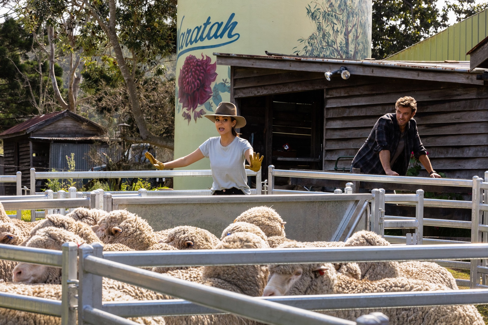 Victoria Justice and Adam Demos on a farm HD Wallpaper