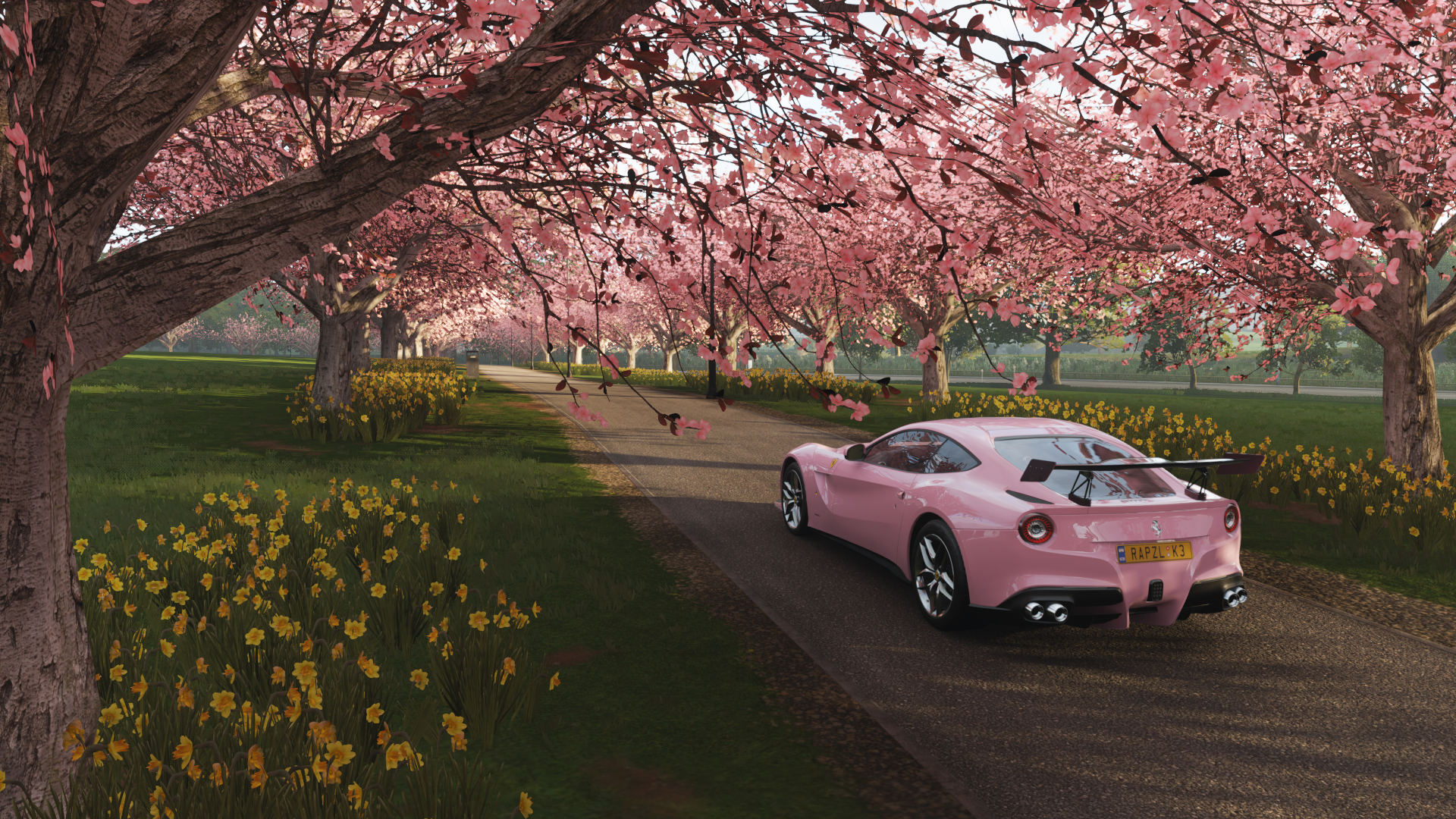 Pink Ferrari driving through cherry blossom trees HD Wallpaper