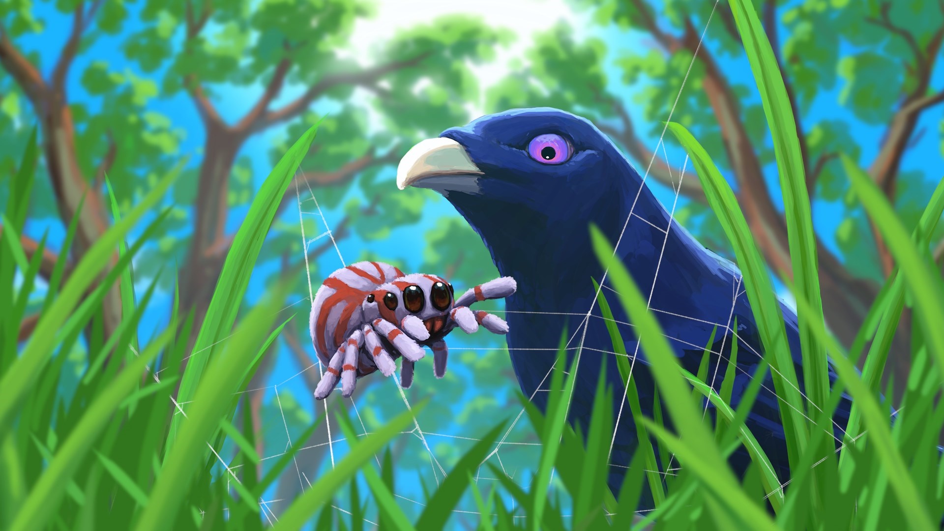 A bird and a spider on a web in the grass HD Wallpaper