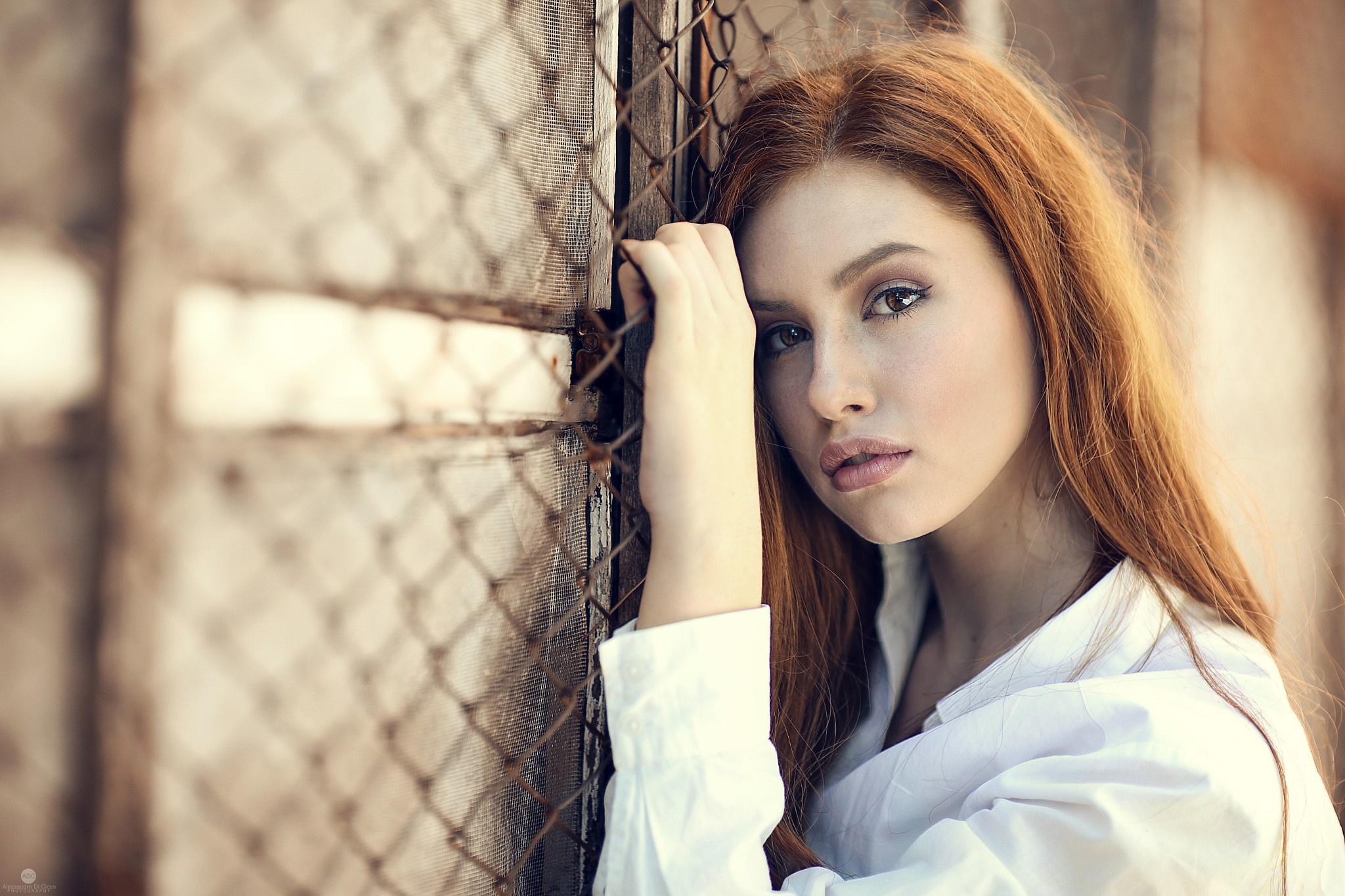 Model Valentina Galassi leaning on a fence HD Wallpaper