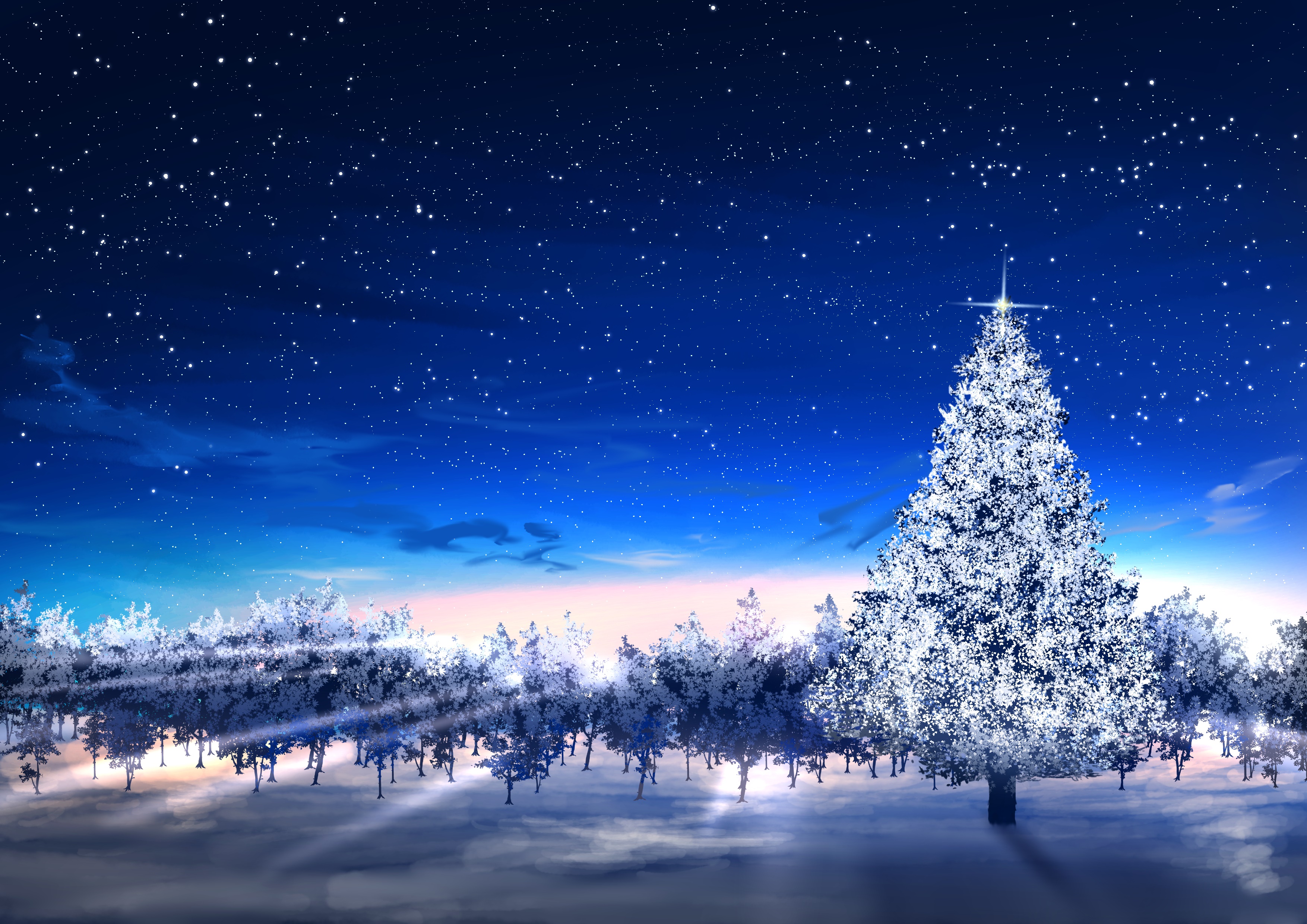 Christmas Tree Under Starry Night Sky HD Wallpaper