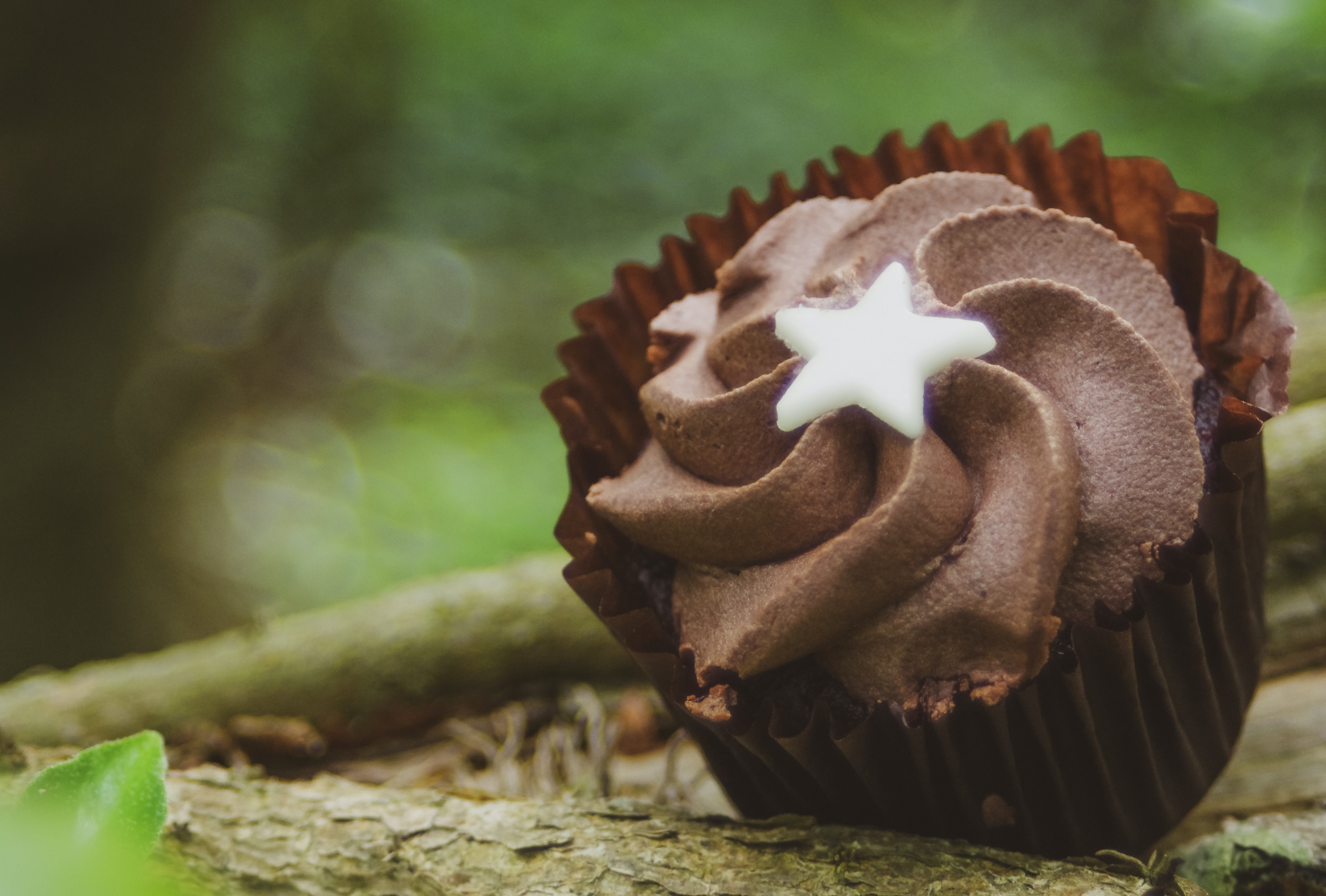 Chocolate cupcake with star decoration 4K HD Wallpaper