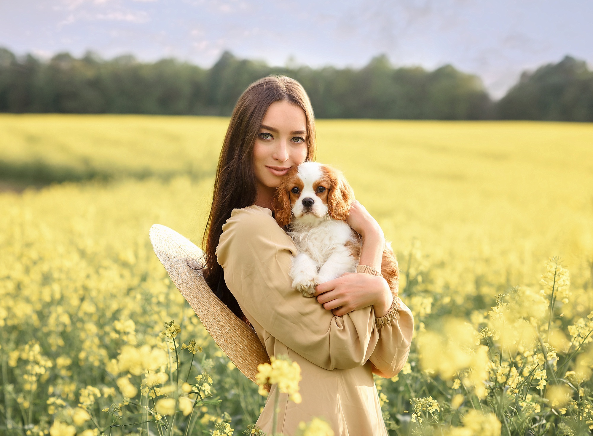 Woman holding a Cavalier King Charles Spaniel in a field HD Wallpaper