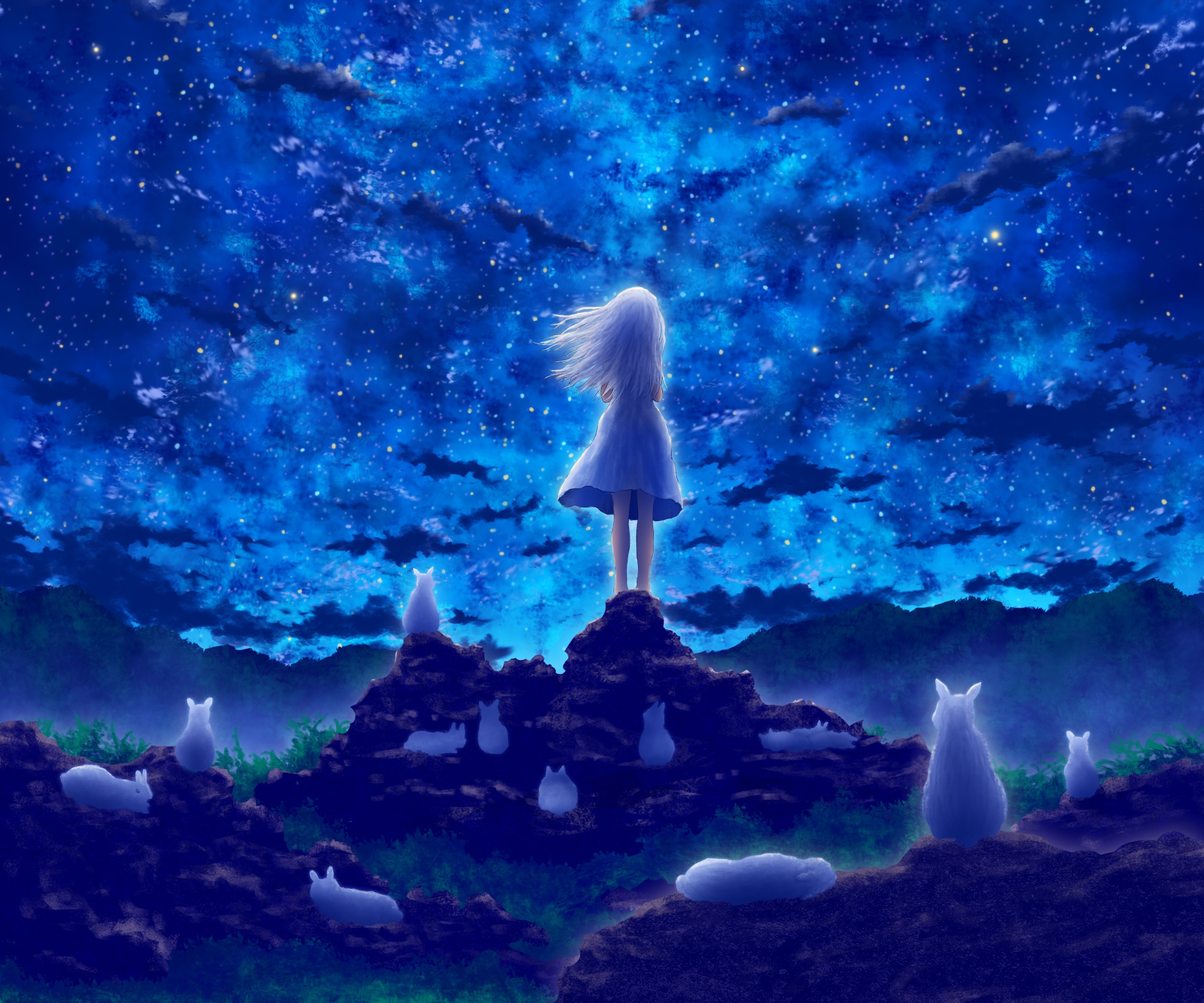 Girl standing on rocks under a starry sky HD Wallpaper
